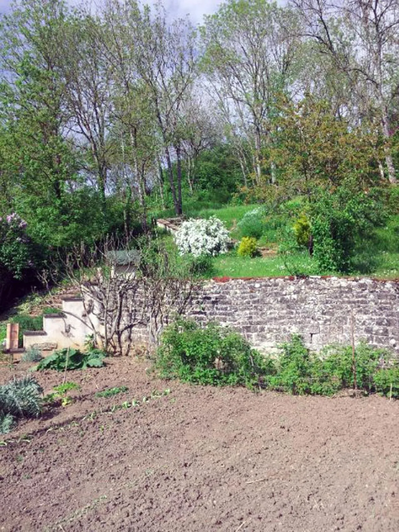Garden view in LA PROVIDENCE, chambres d'hôtes