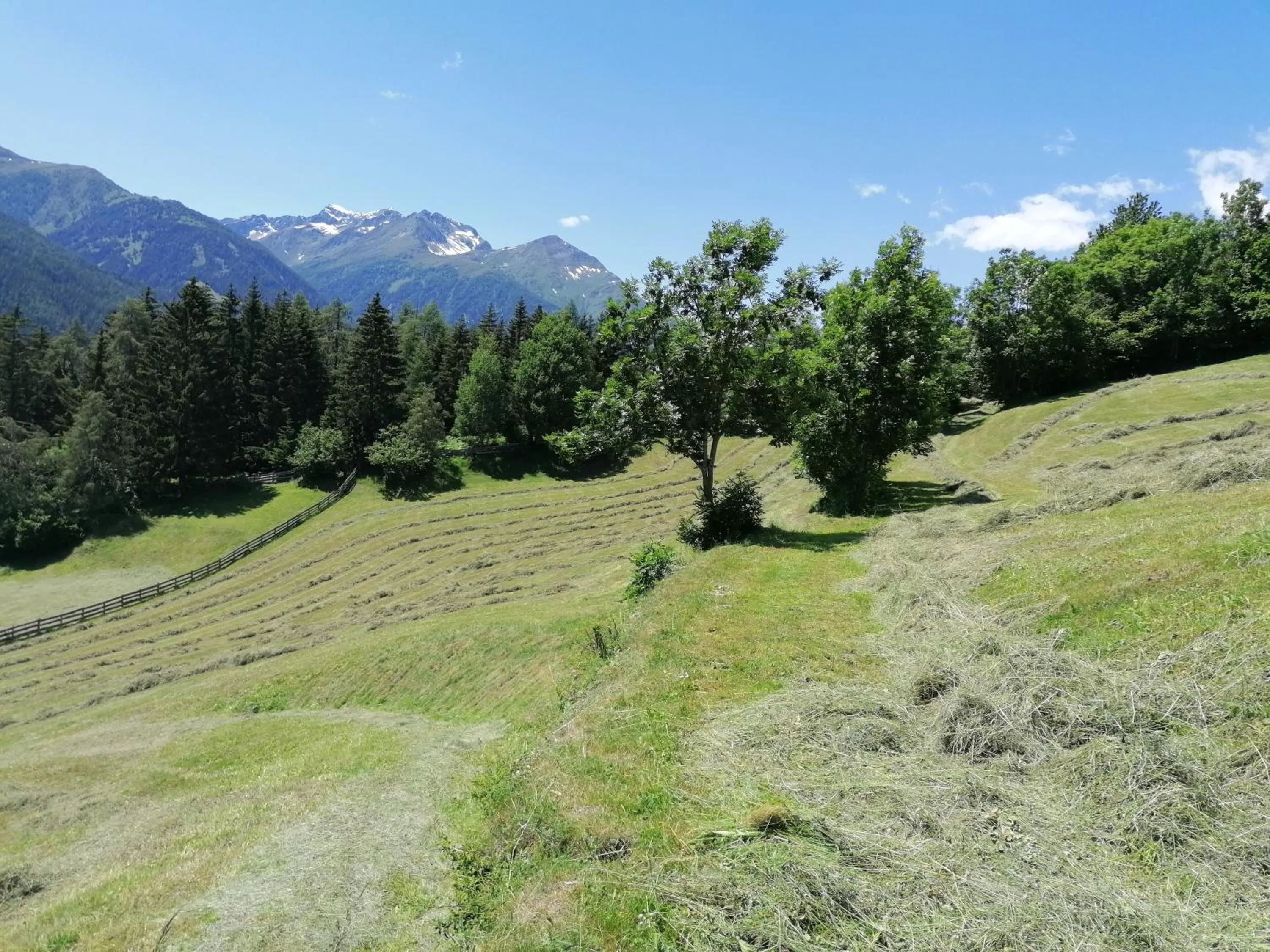 Mountain view in Ferienhaus Innerkienzerhof - Urlaub am Bauernhof