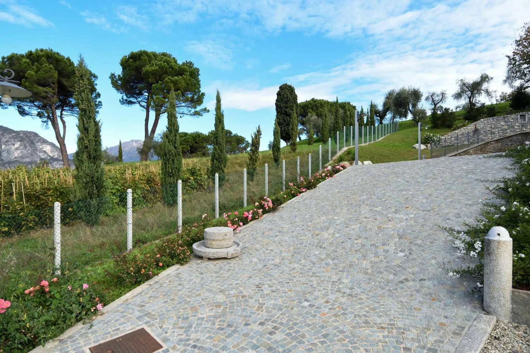 Agriturismo Il Colle