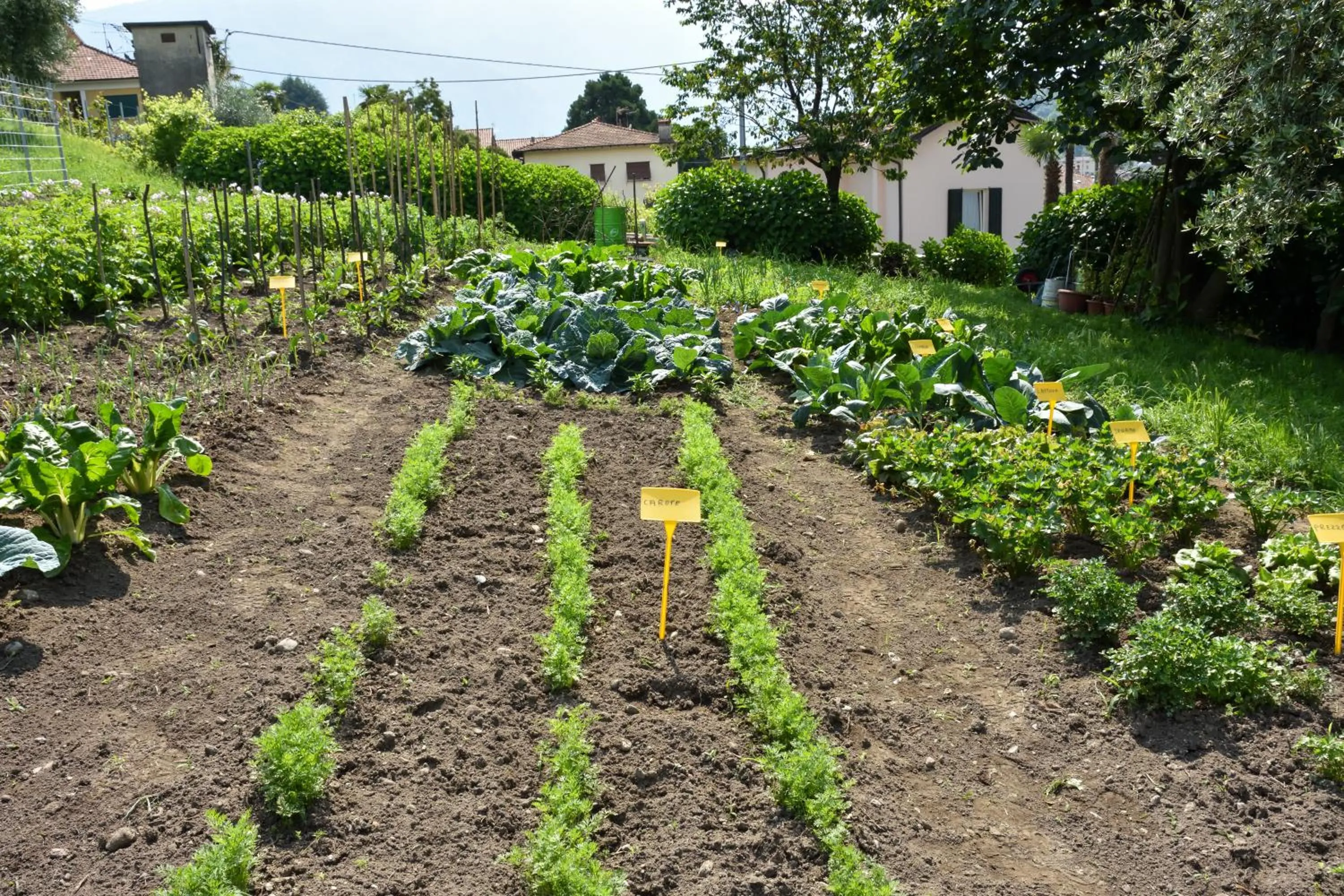 Garden in Agriturismo Il Colle