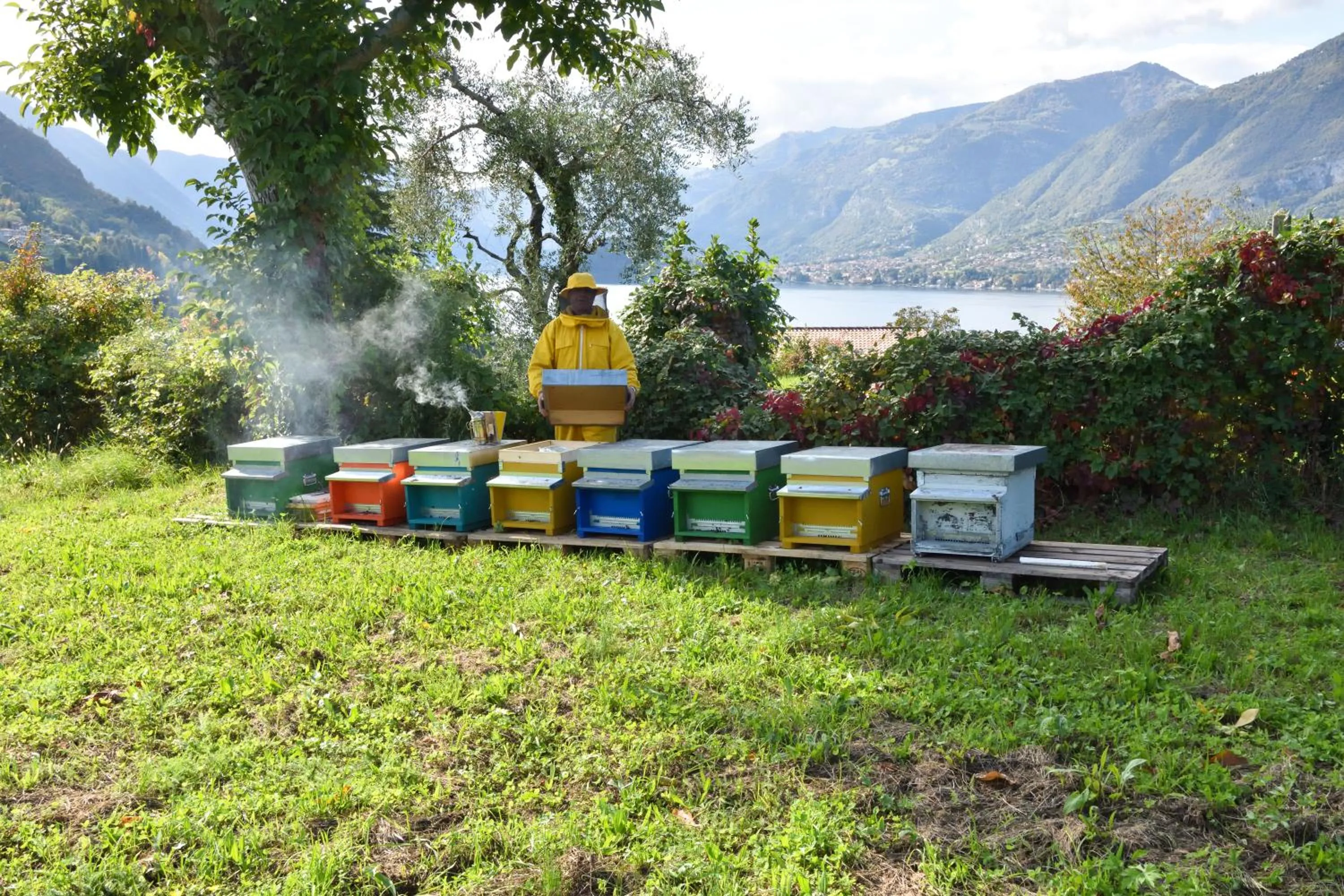 Garden in Agriturismo Il Colle