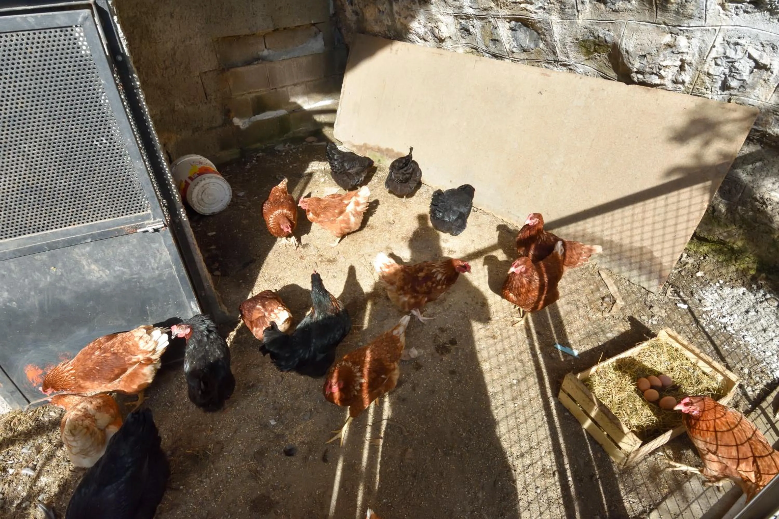 Food and drinks in Agriturismo Il Colle