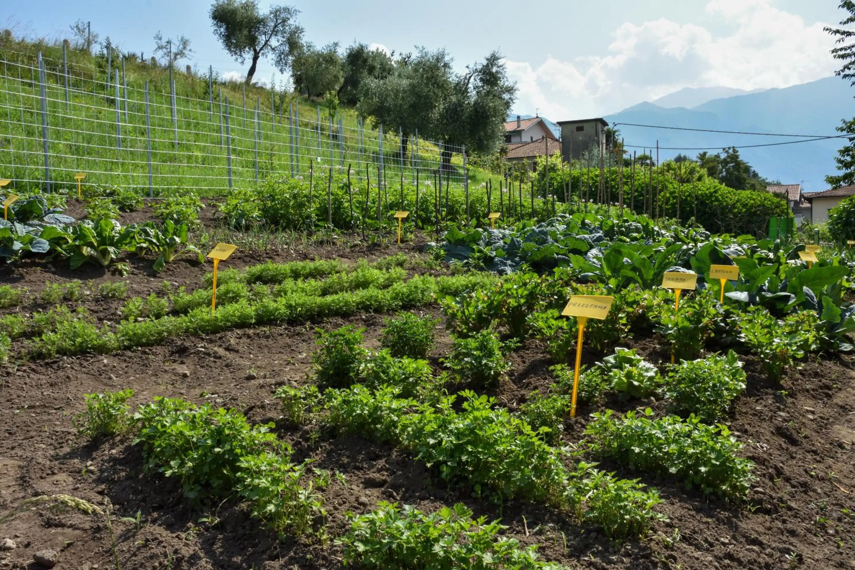 Garden in Agriturismo Il Colle