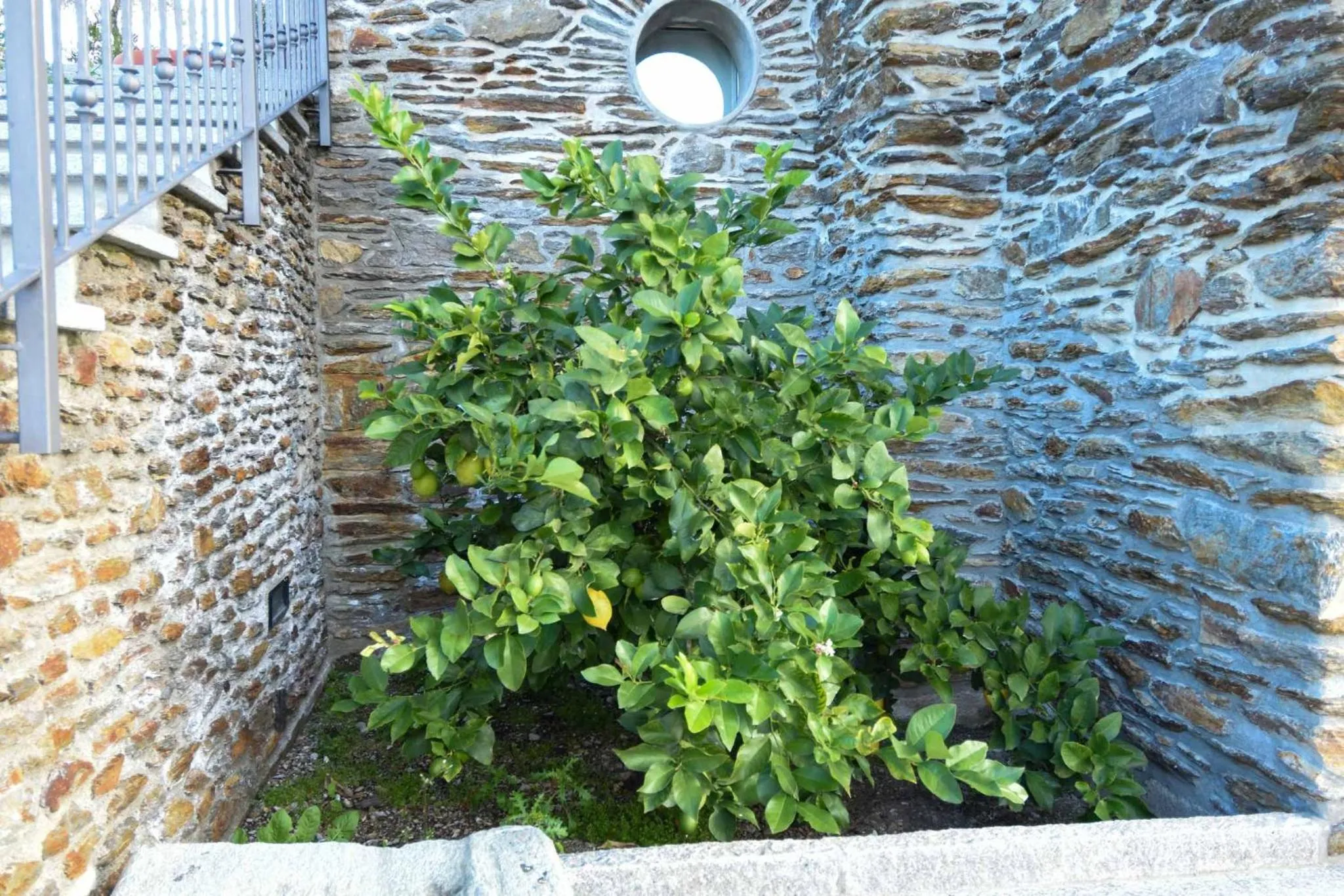 Agriturismo Il Colle