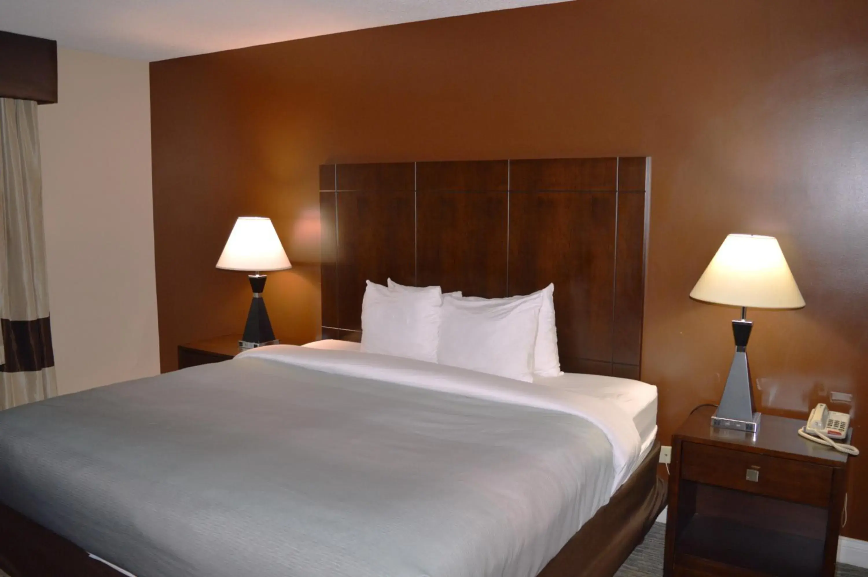 King Room in Quality Inn O'Hare Airport King Room in Quality Inn O'Hare Airport