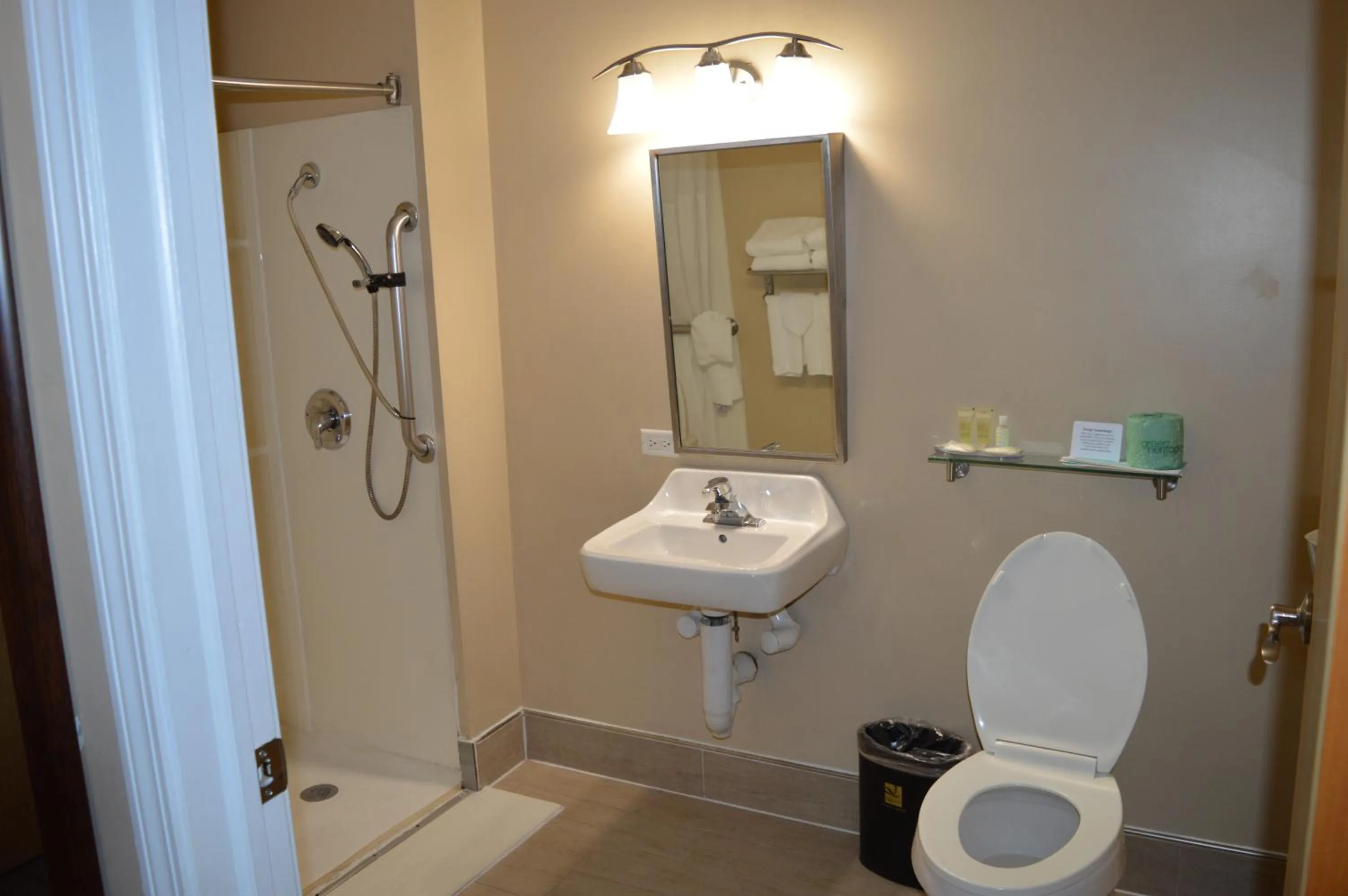 Toilet in Quality Inn O'Hare Airport