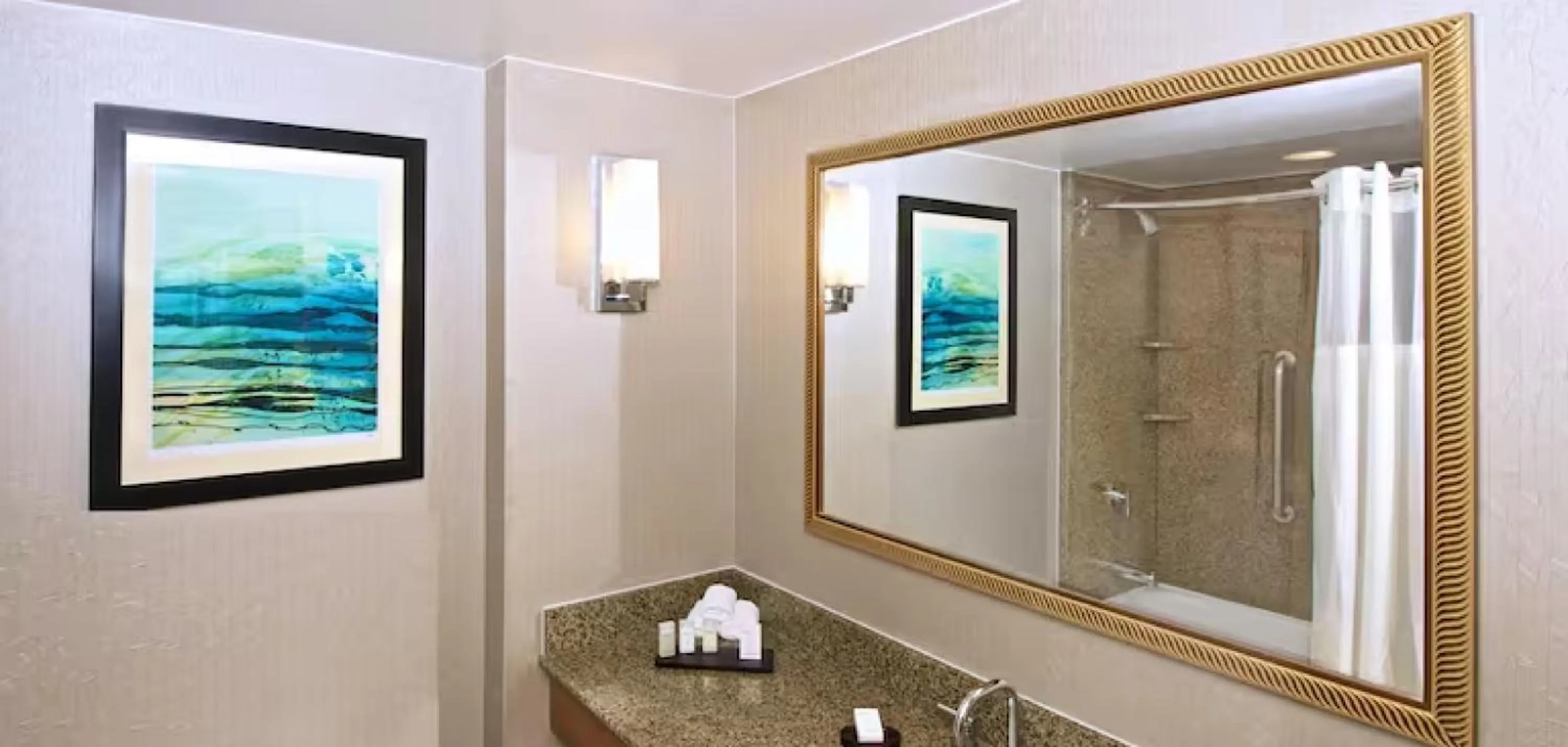 Bathroom in Embassy Suites by Hilton Seattle North Lynnwood