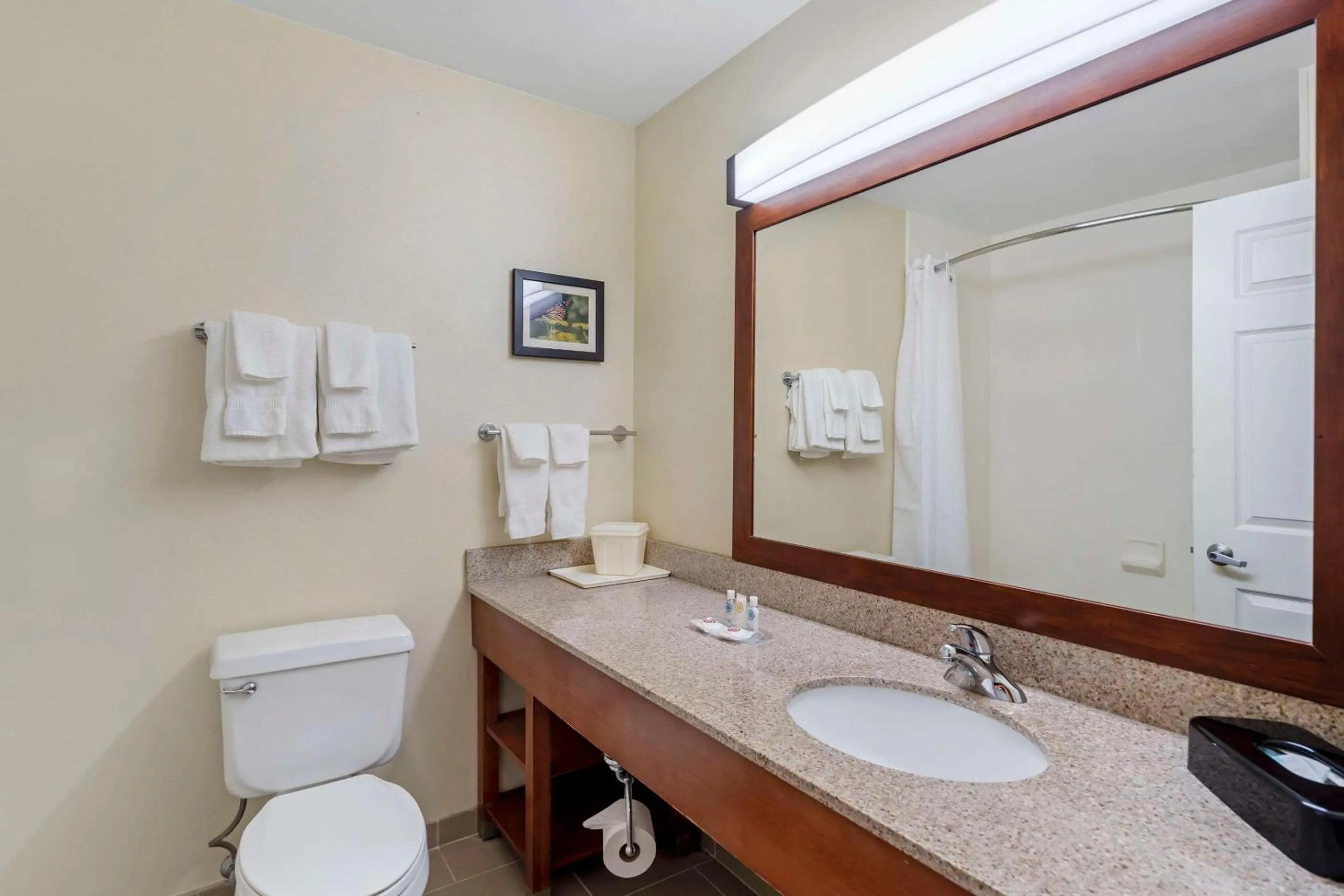 Bedroom in Comfort Suites Normal University area