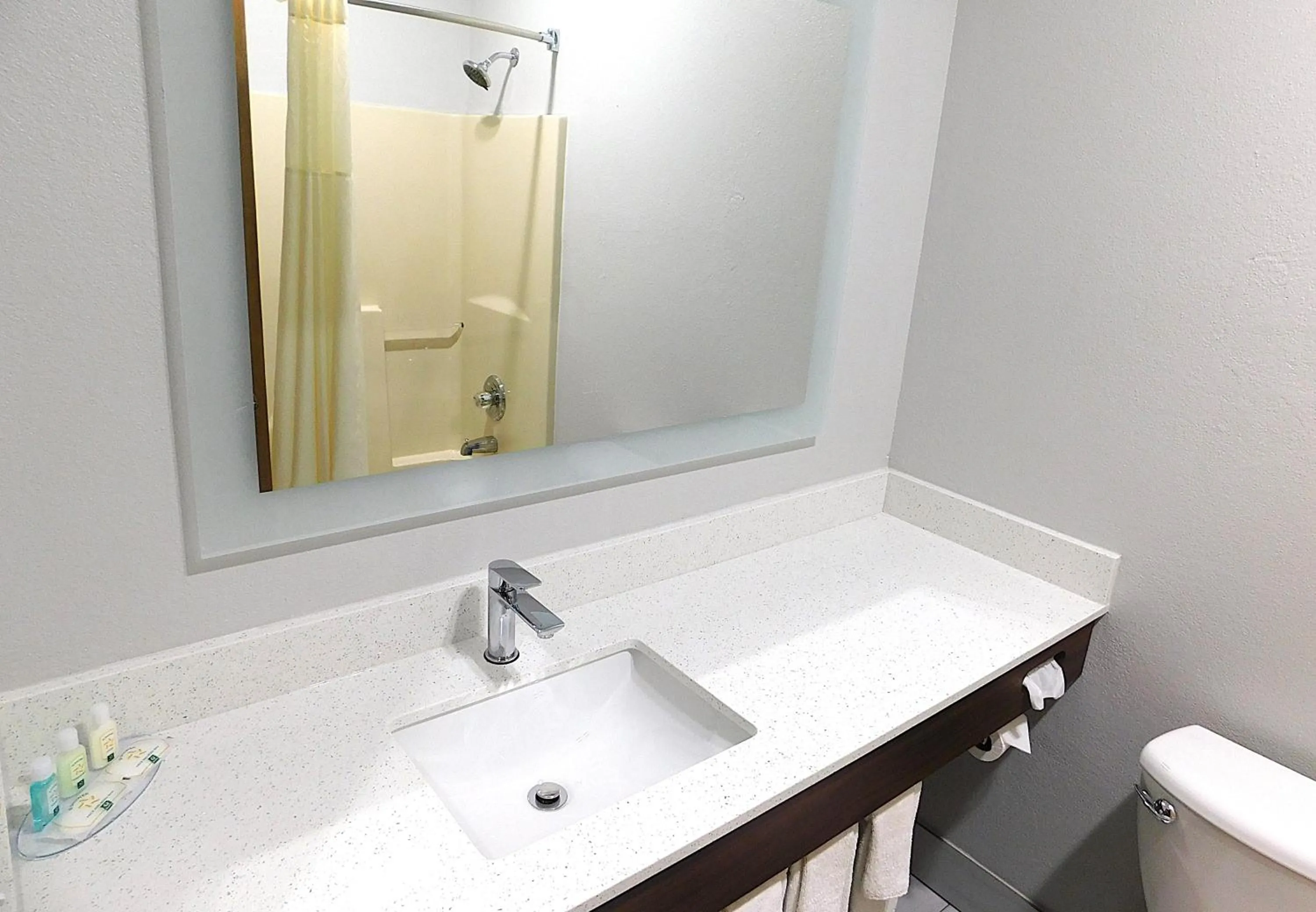 Shower in Quality Inn Pontiac