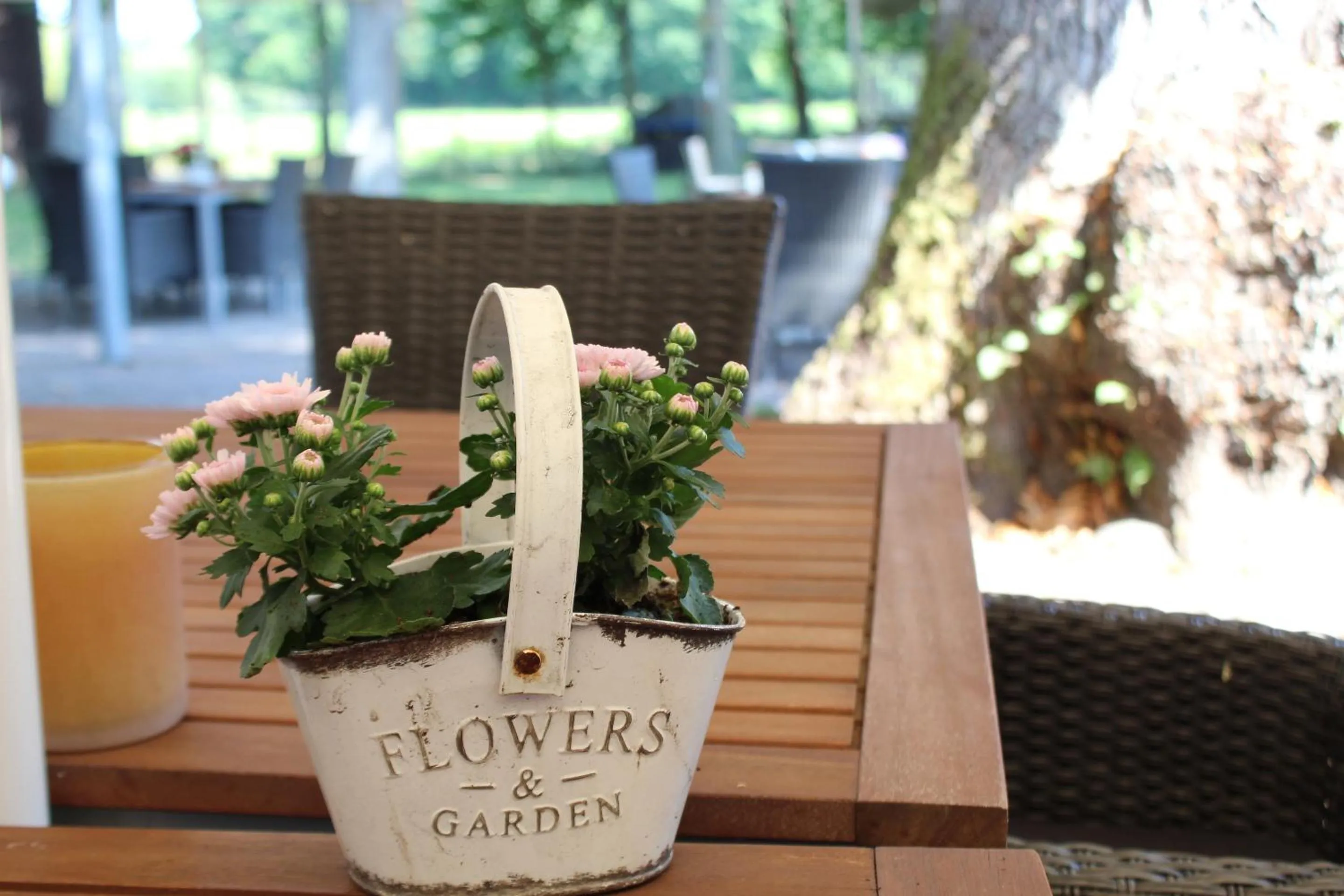 Property building in Landgasthof Wildwasser