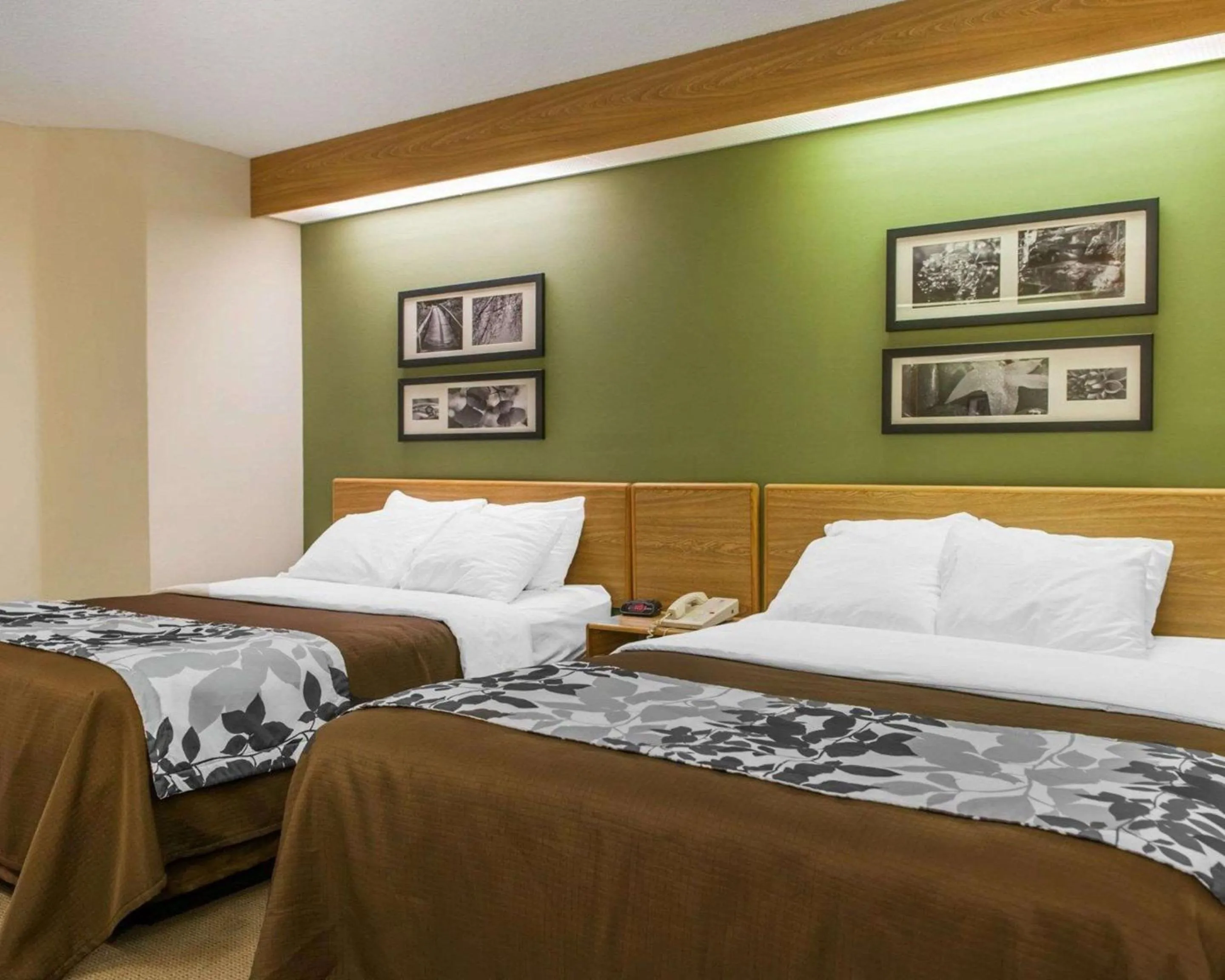 Photo of the whole room in Sleep Inn Elkhart North