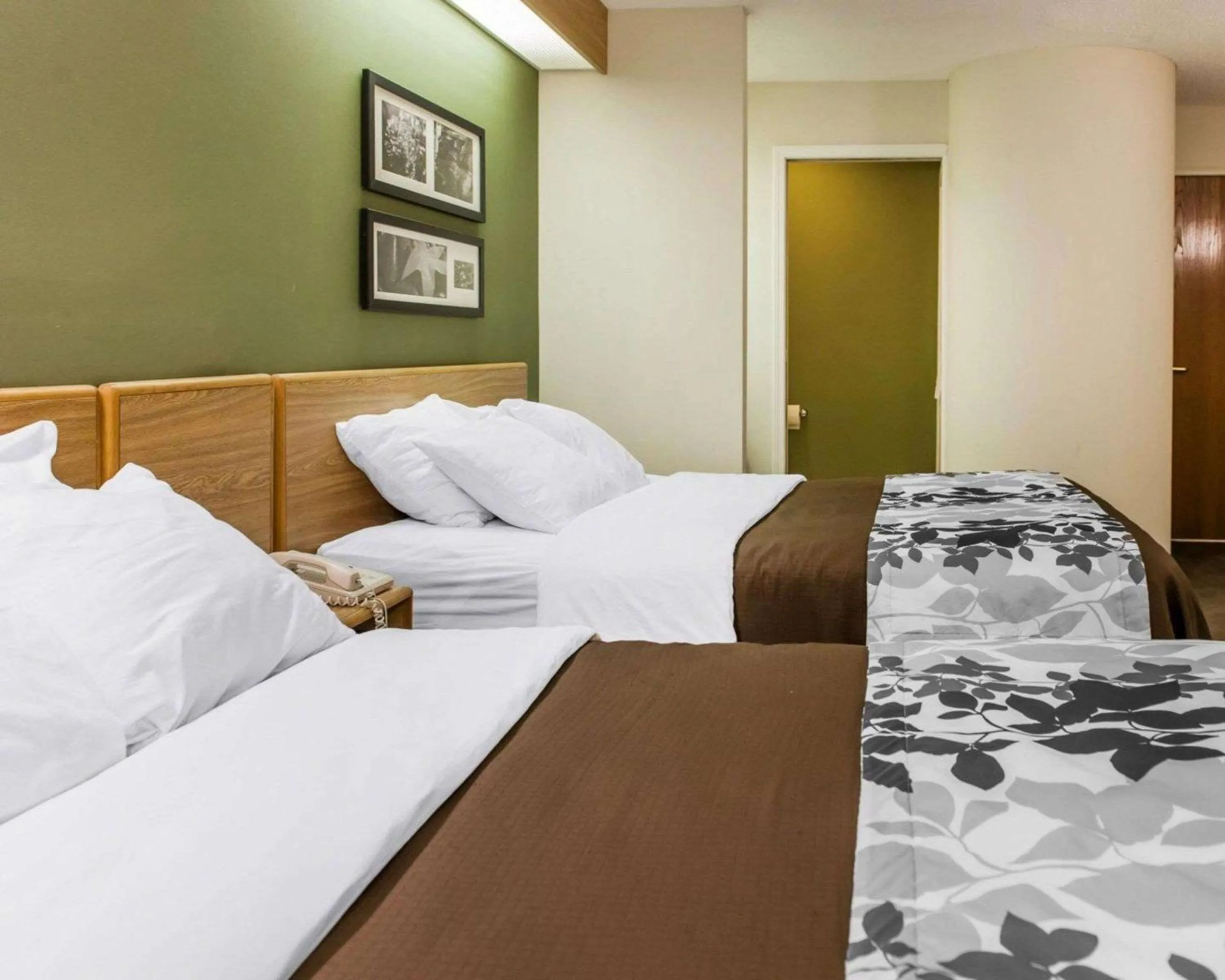 Photo of the whole room in Sleep Inn Elkhart North