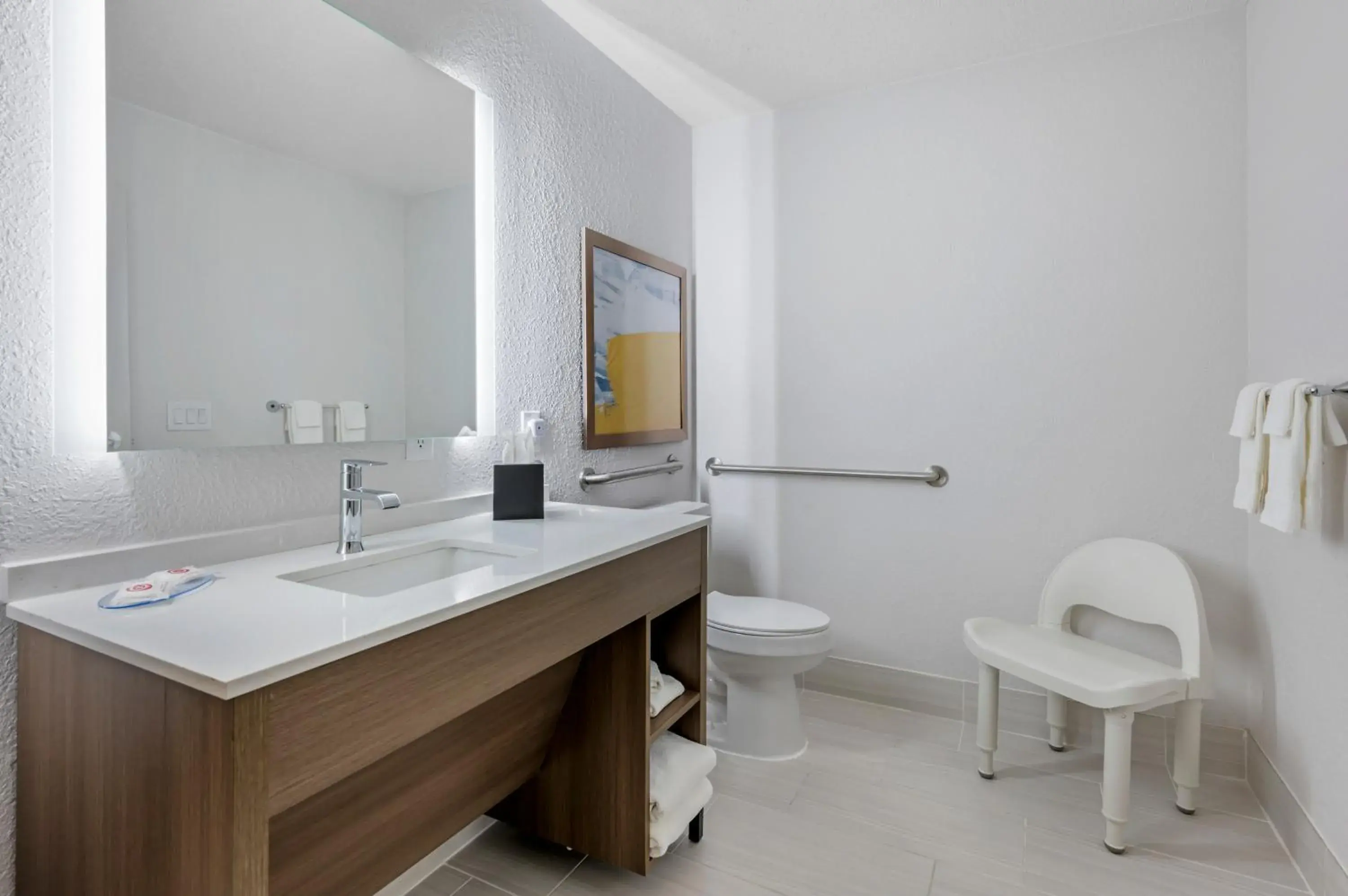 One Room Suite with Sofa bed - Disability Access/Non Smoking in Comfort Suites West Indianapolis - Brownsburg One Room Suite with Sofa bed - Disability Access/Non Smoking in Comfort Suites West Indianapolis - Brownsburg