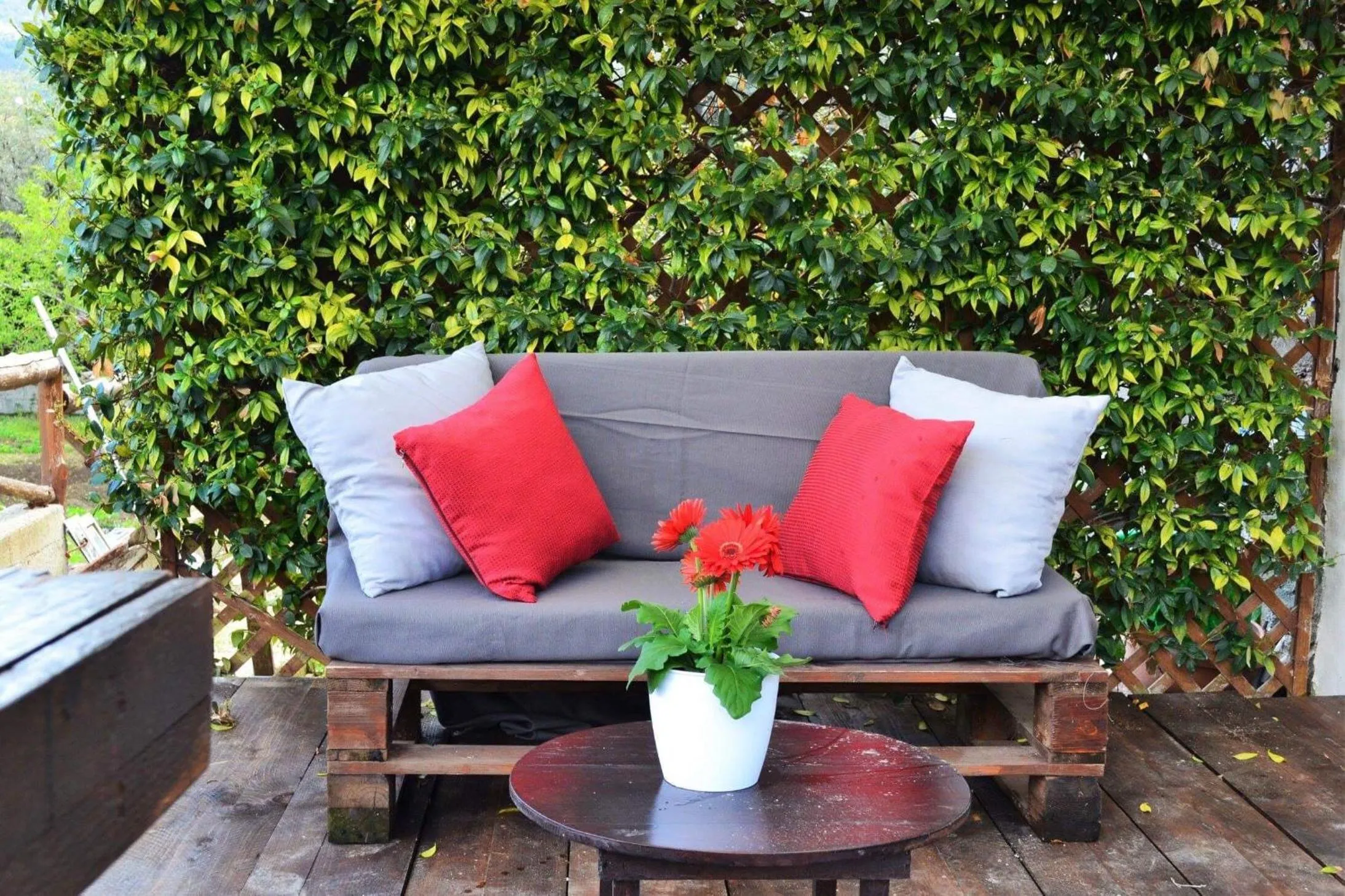 Patio in Casa Fiorita