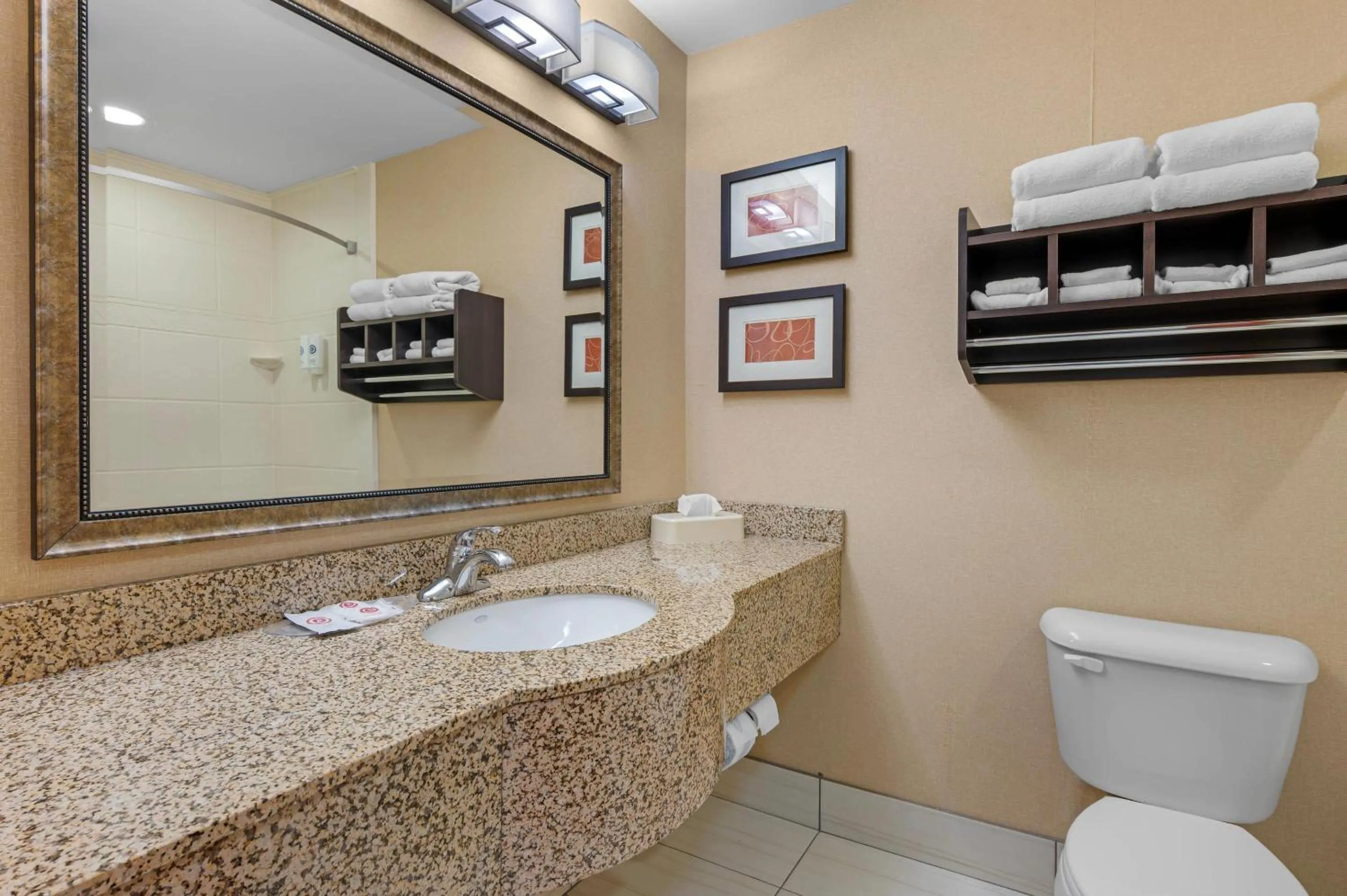 Bathroom in Comfort Suites South Bend Near Casino