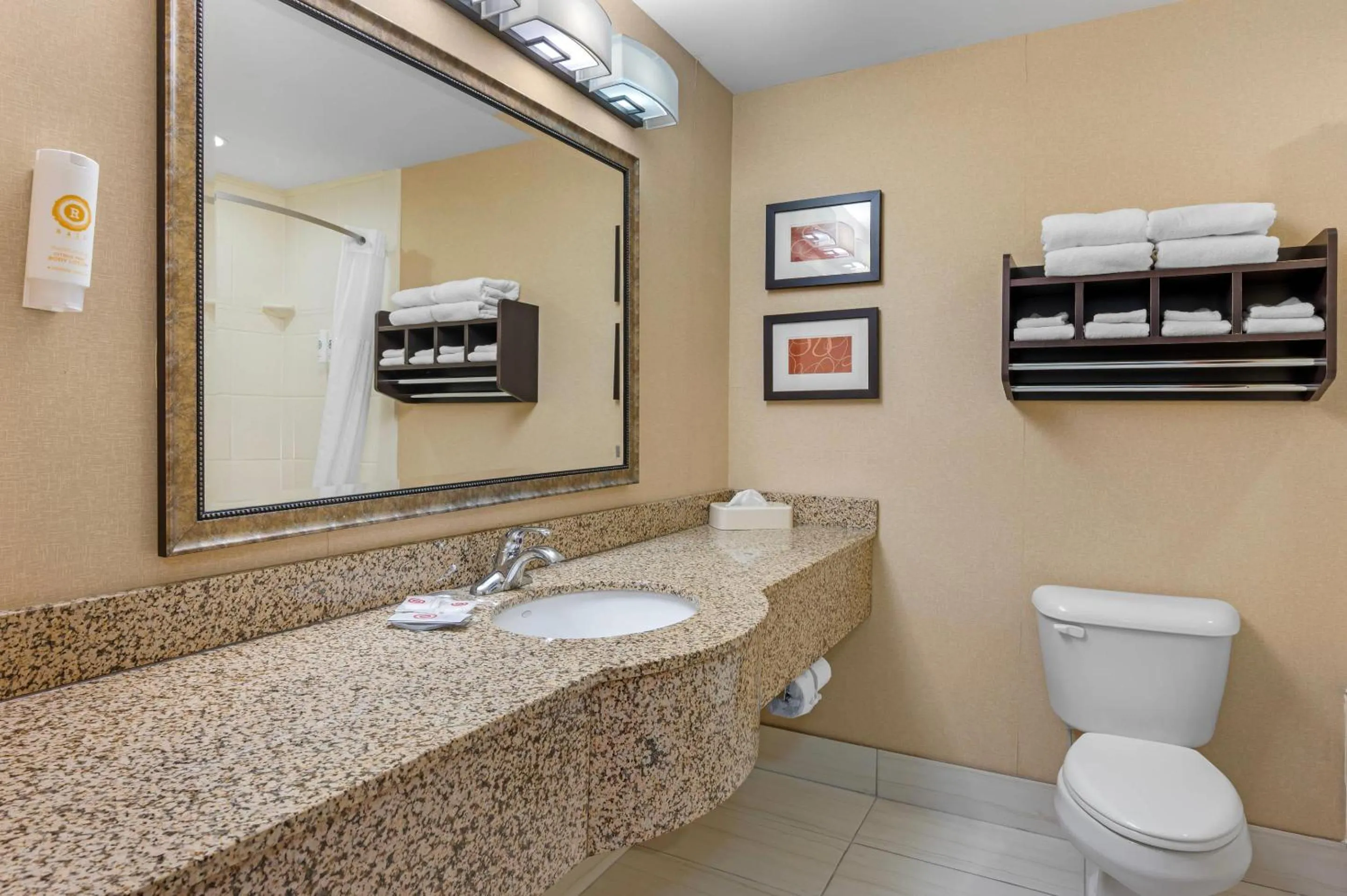 Bedroom in Comfort Suites South Bend Near Casino