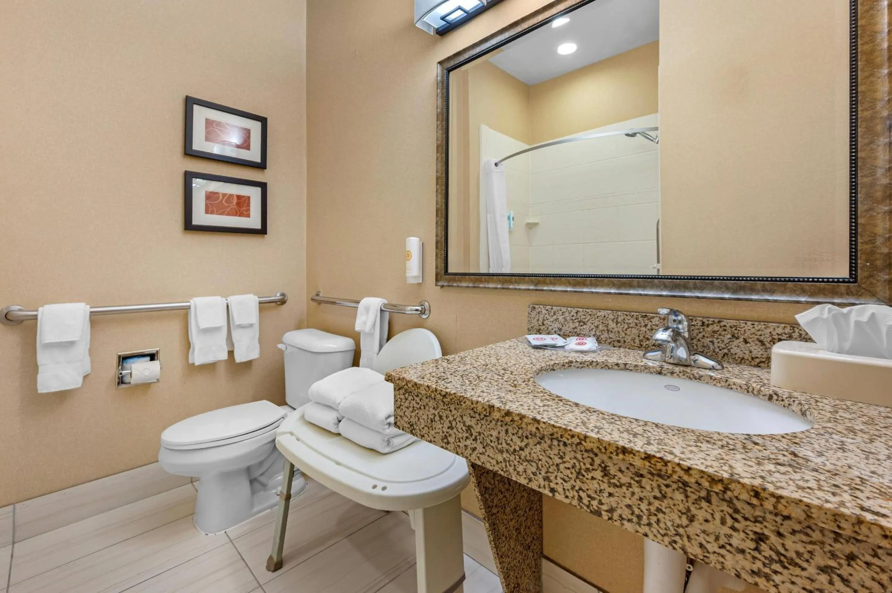 Bathroom in Comfort Suites South Bend Near Casino