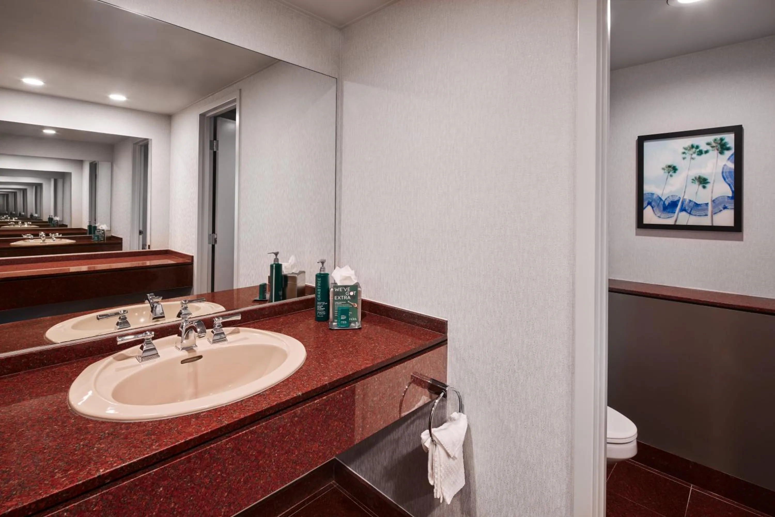 Bathroom in Hotel Fera Anaheim, a DoubleTree by Hilton Hotel