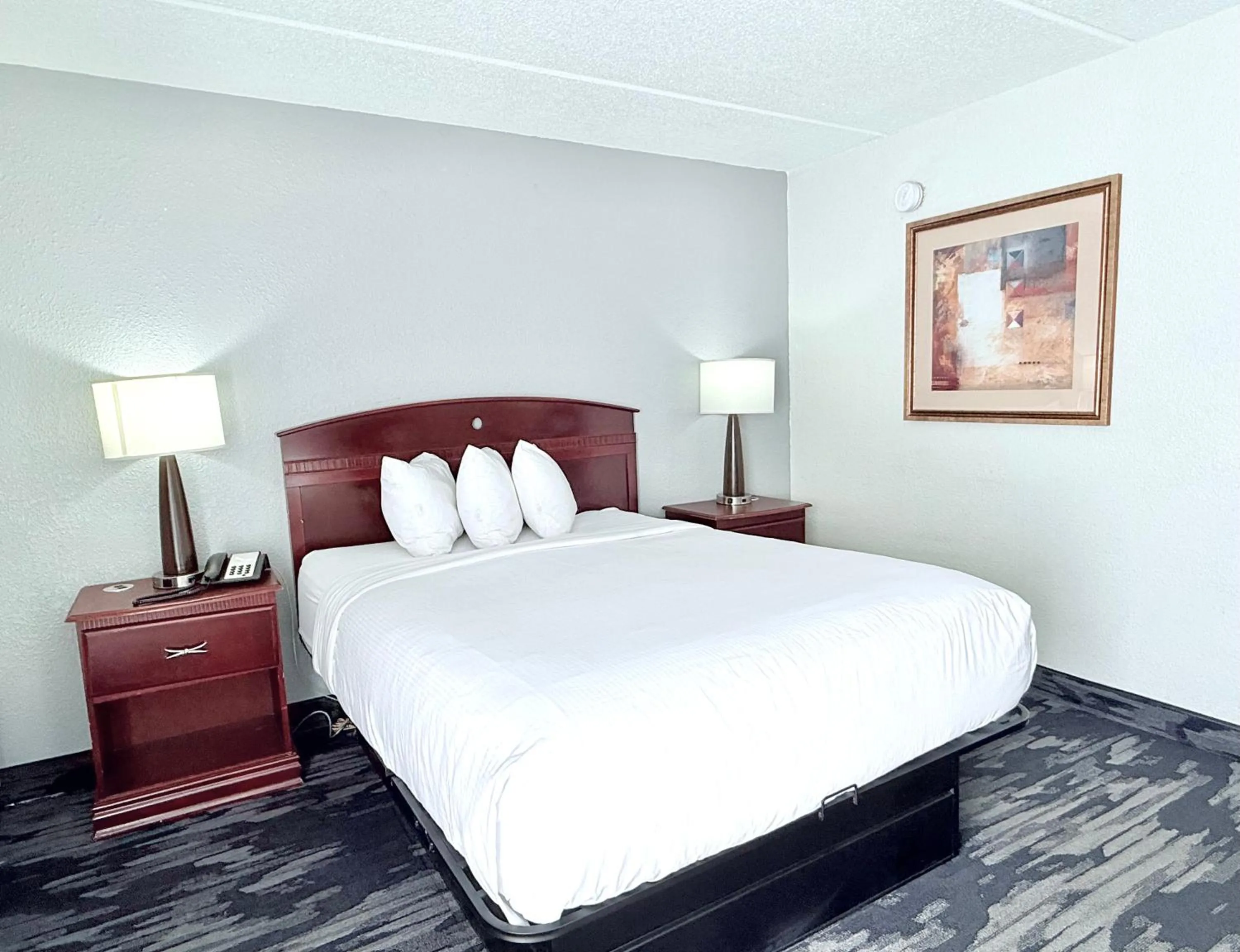 Bed in Baymont by Wyndham Michigan City