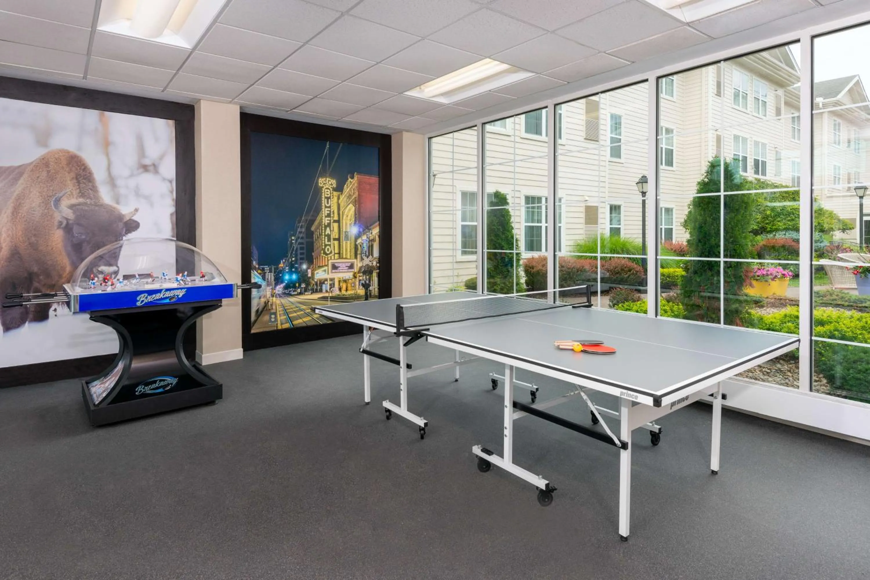 Sports in Homewood Suites by Hilton Buffalo/Airport