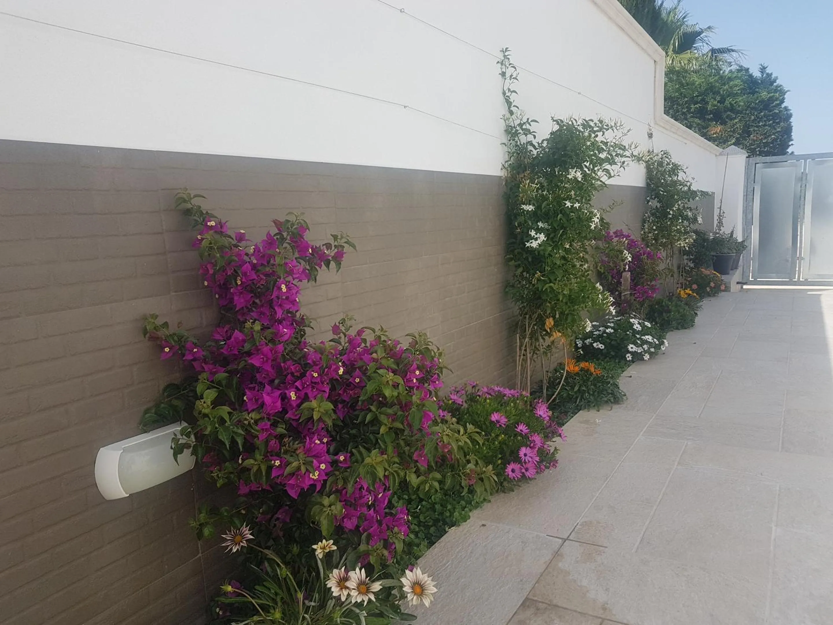 Garden in B&B villa brezza marina