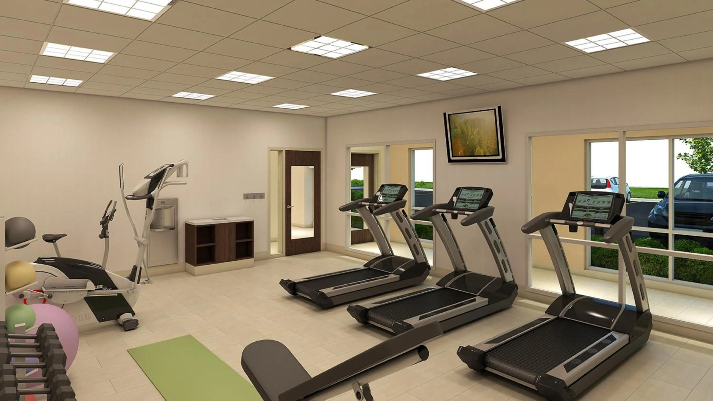 Fitness centre/facilities in Holiday Inn Express & Suites - Olathe South by IHG