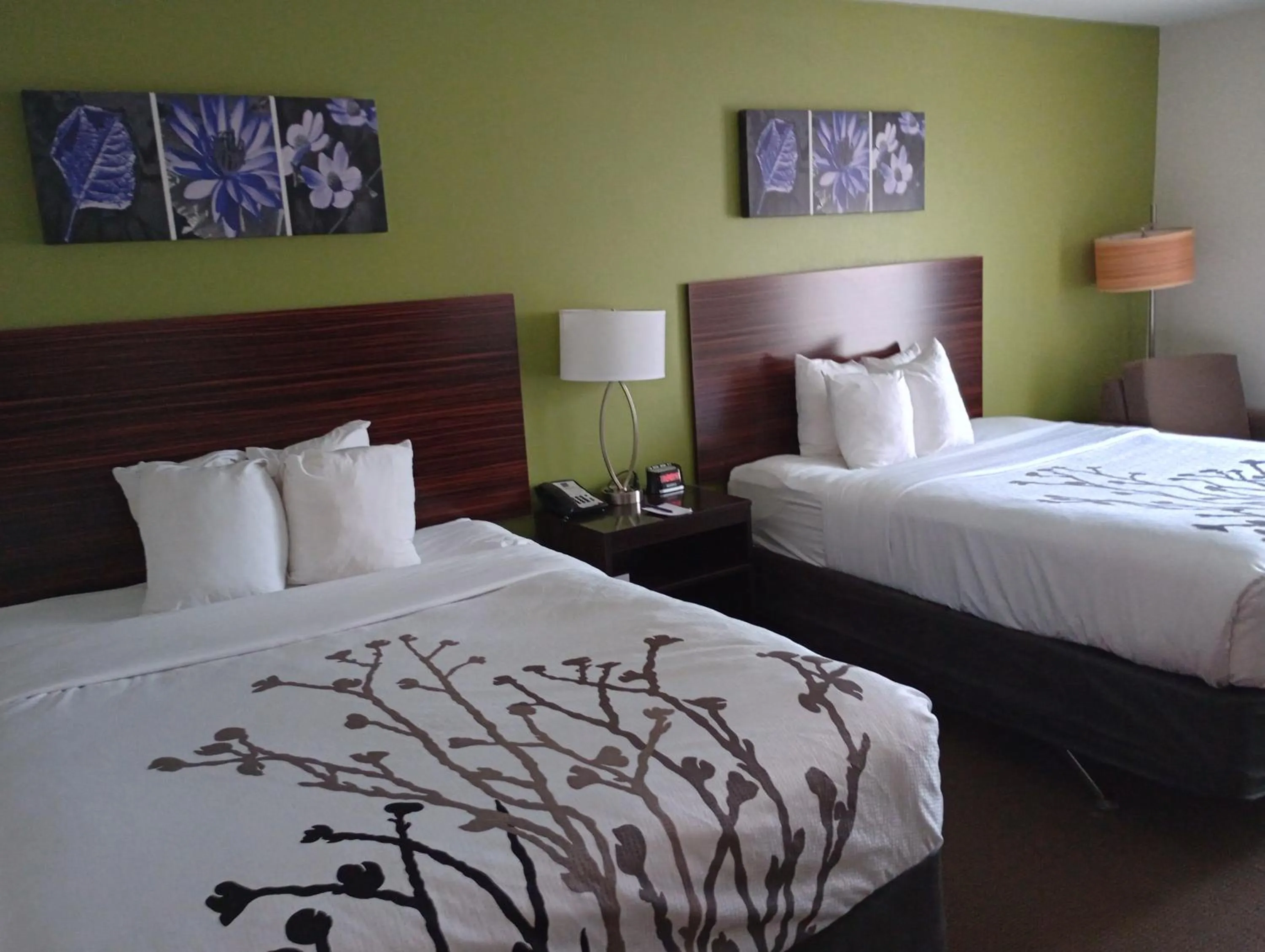 Bed in Sleep Inn & Suites Oakley I-70