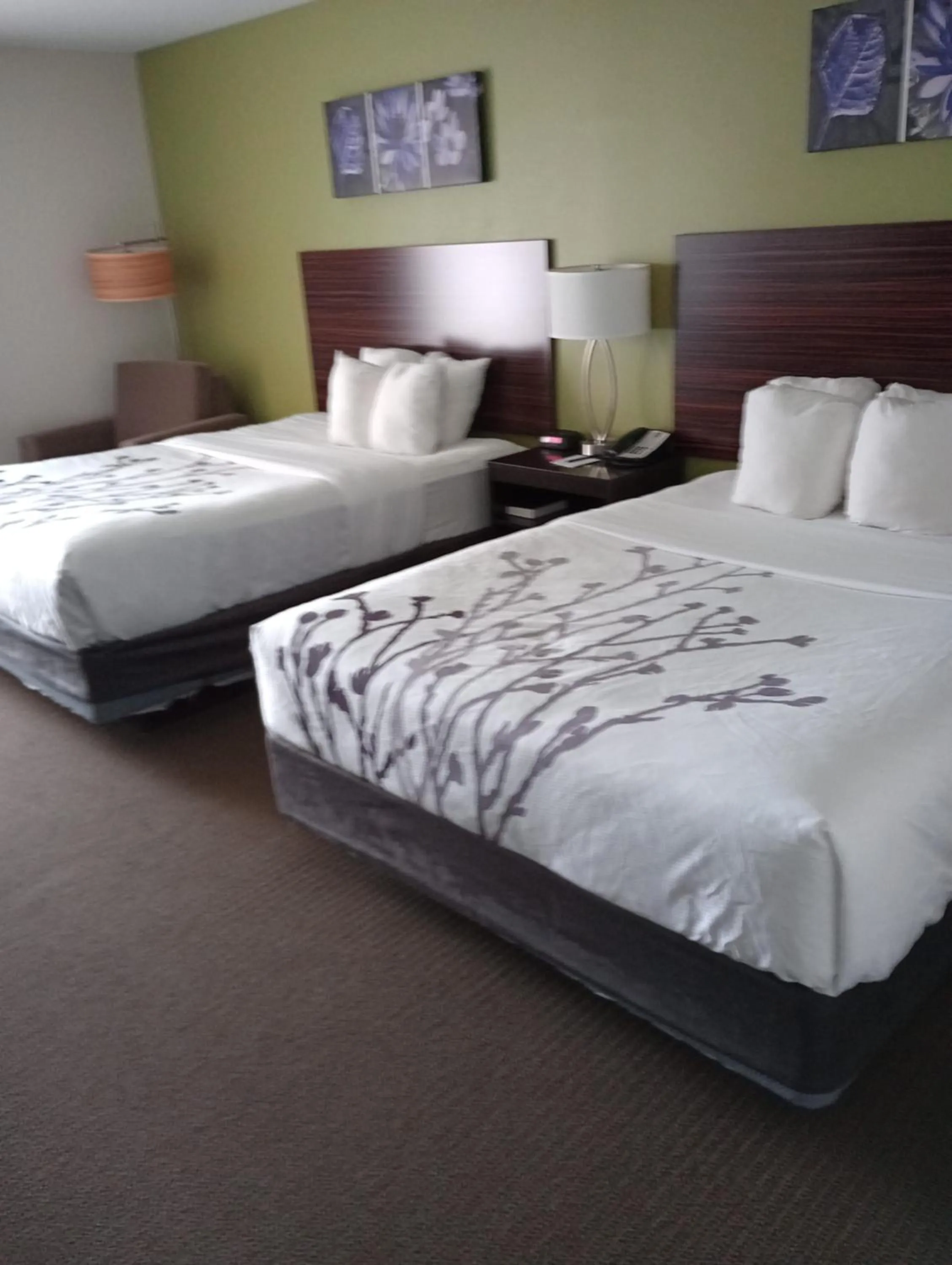 Bed in Sleep Inn & Suites Oakley I-70