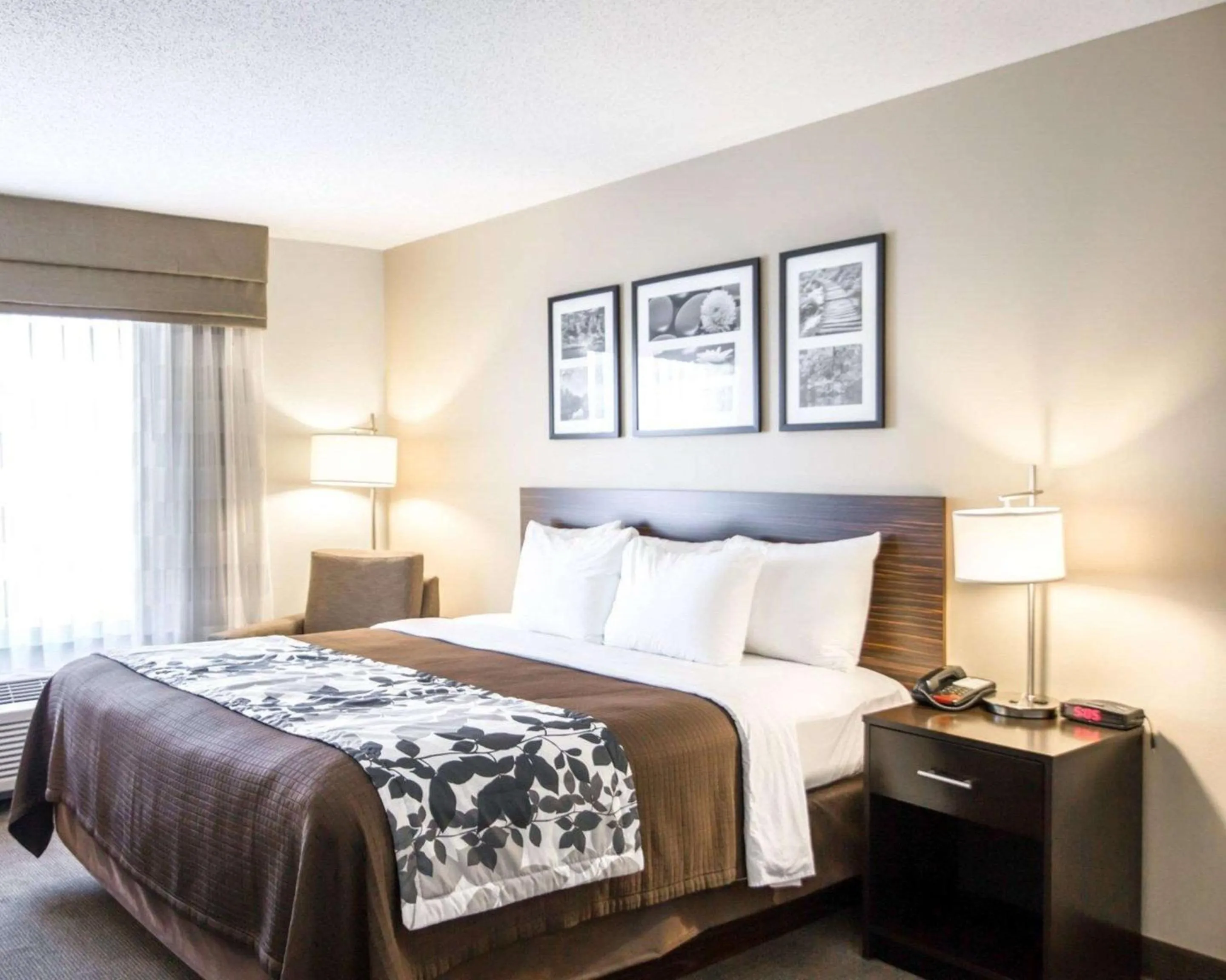 Photo of the whole room, Bed in Sleep Inn & Suites Norton