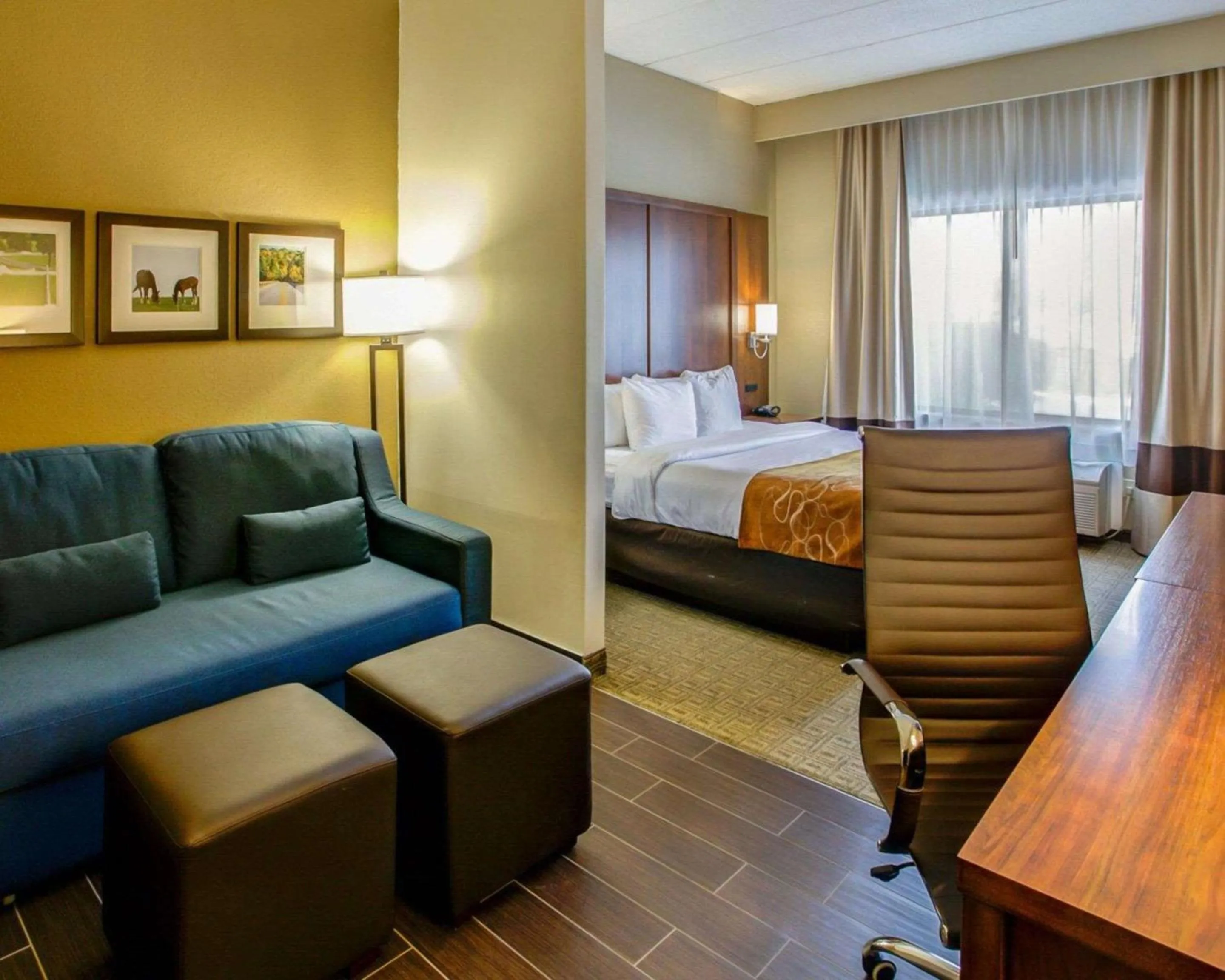 Photo of the whole room, Bed in Comfort Suites Georgetown