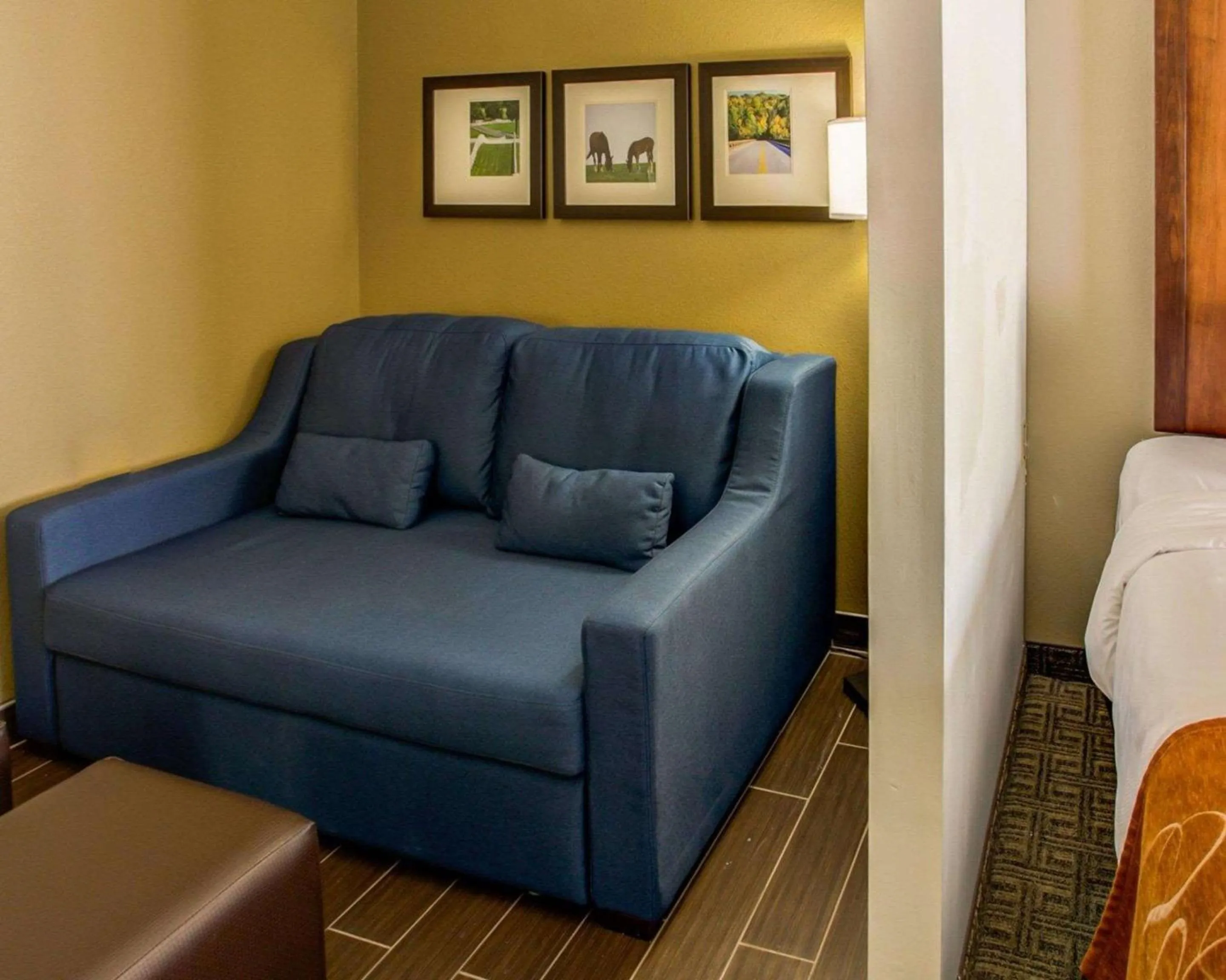 Photo of the whole room in Comfort Suites Georgetown