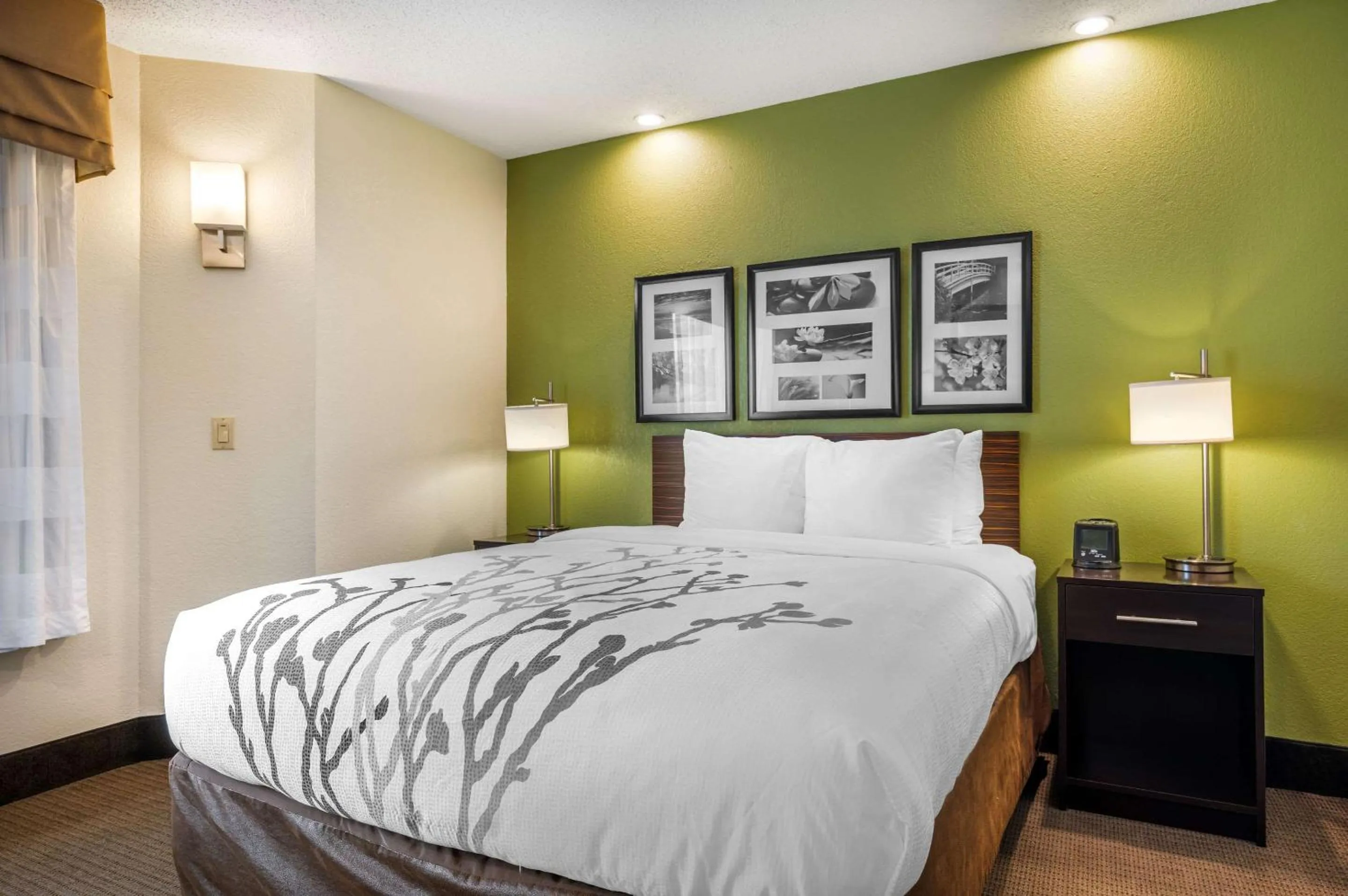 Bedroom, Bed in Sleep Inn Henderson-Evansville South