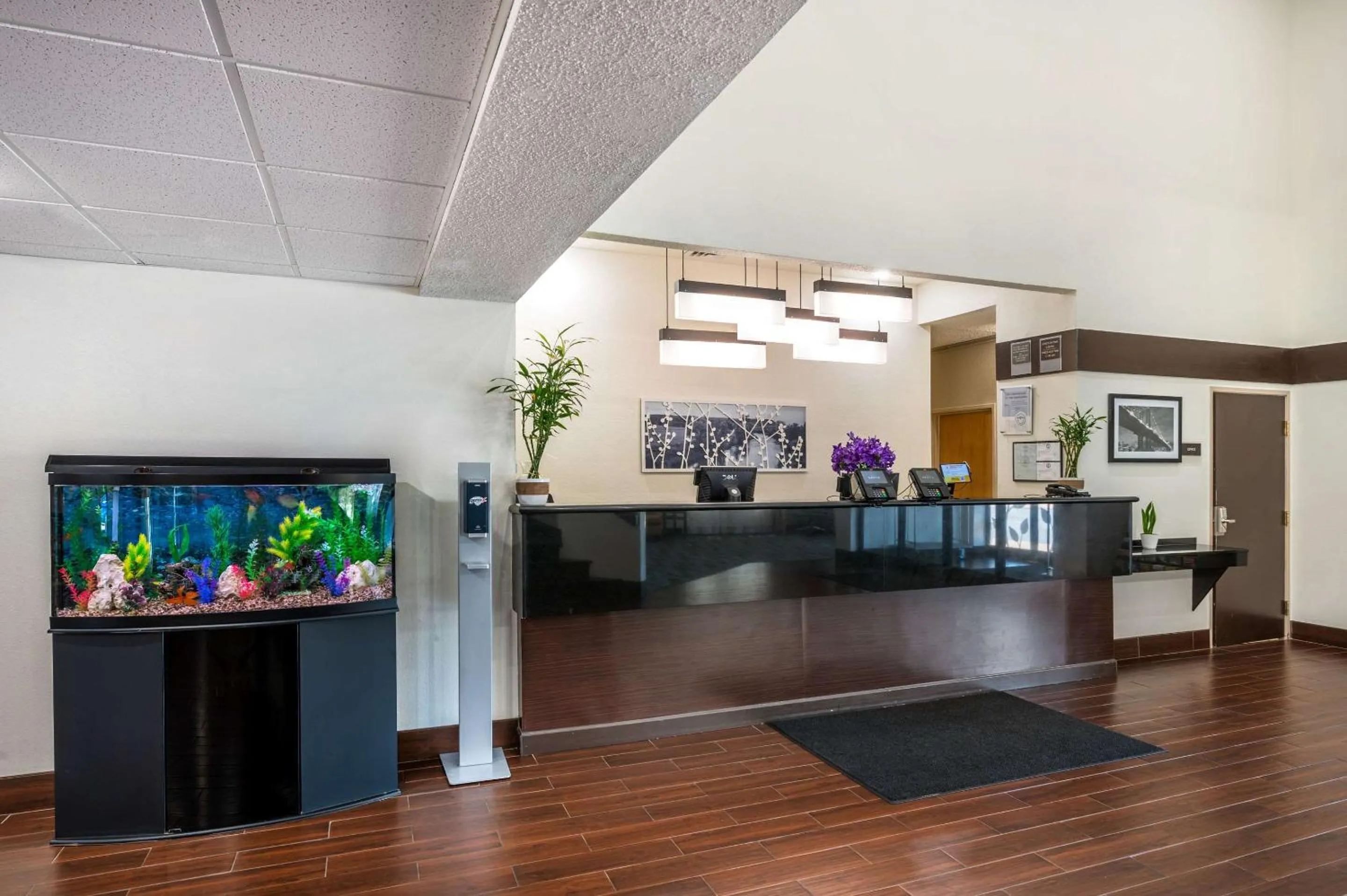 Lobby or reception in Sleep Inn Henderson-Evansville South