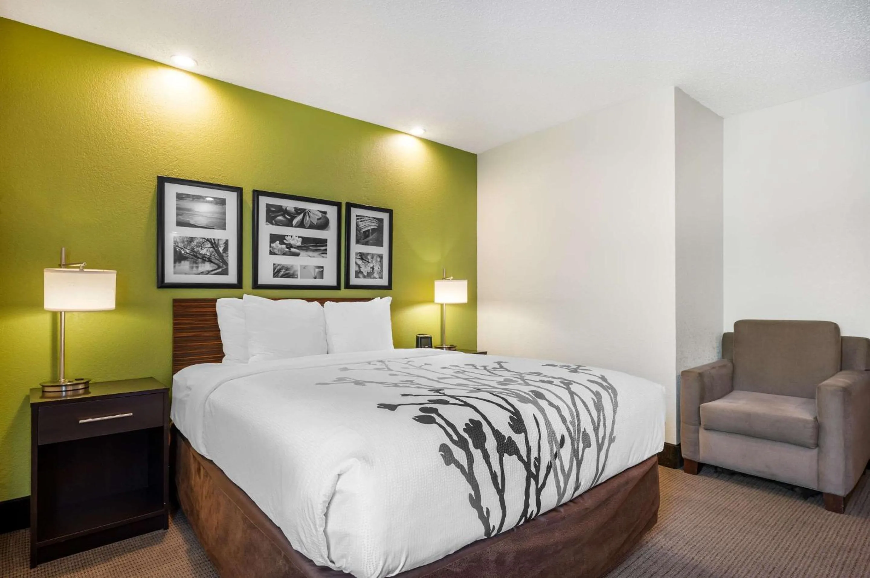 Bedroom, Bed in Sleep Inn Henderson-Evansville South