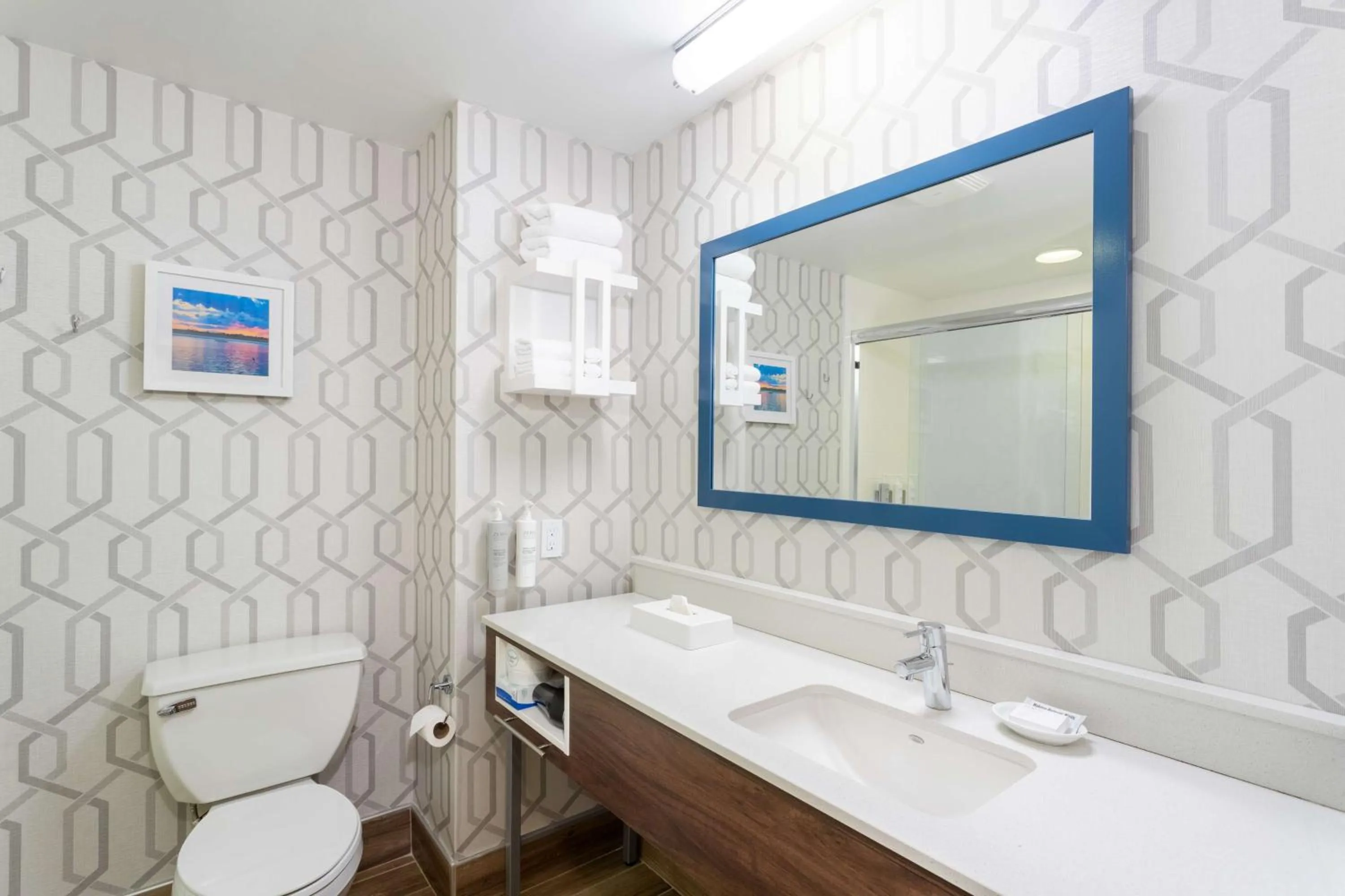 Bathroom in Hampton Inn Buffalo-South/I-90