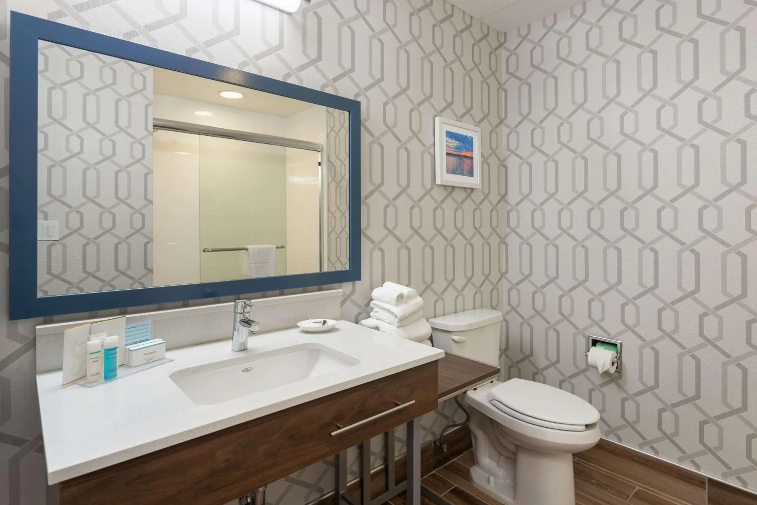 Toilet in Hampton Inn Buffalo-South/I-90