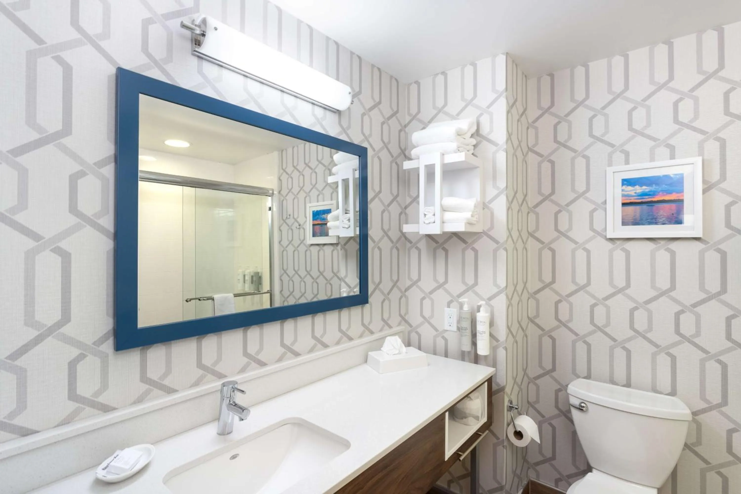 Toilet in Hampton Inn Buffalo-South/I-90