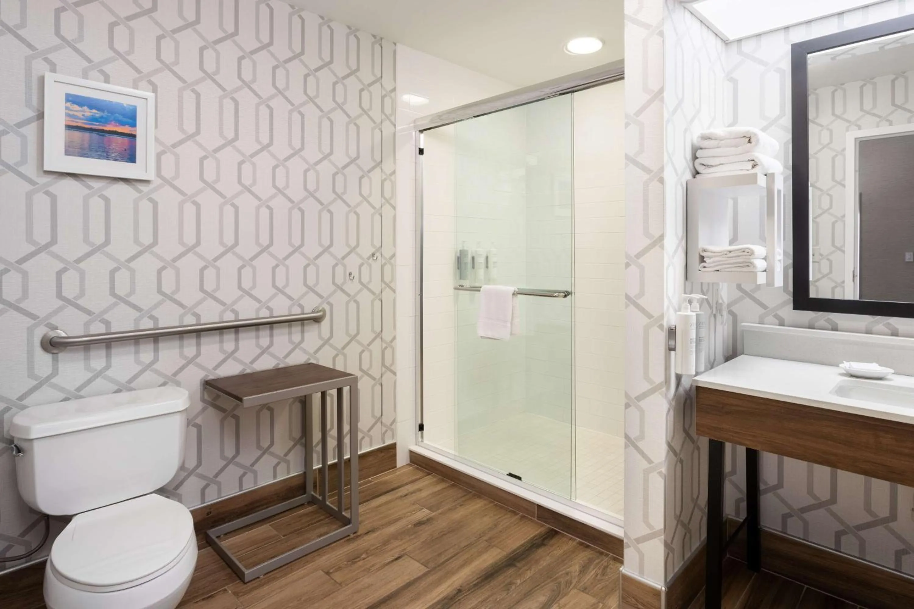 Shower in Hampton Inn Buffalo-South/I-90