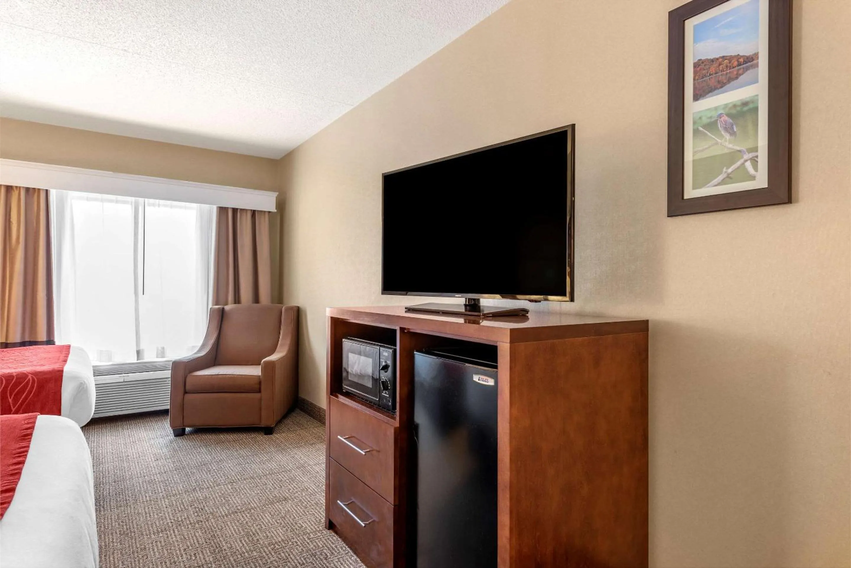 Photo of the whole room in Comfort Inn & Suites Morehead
