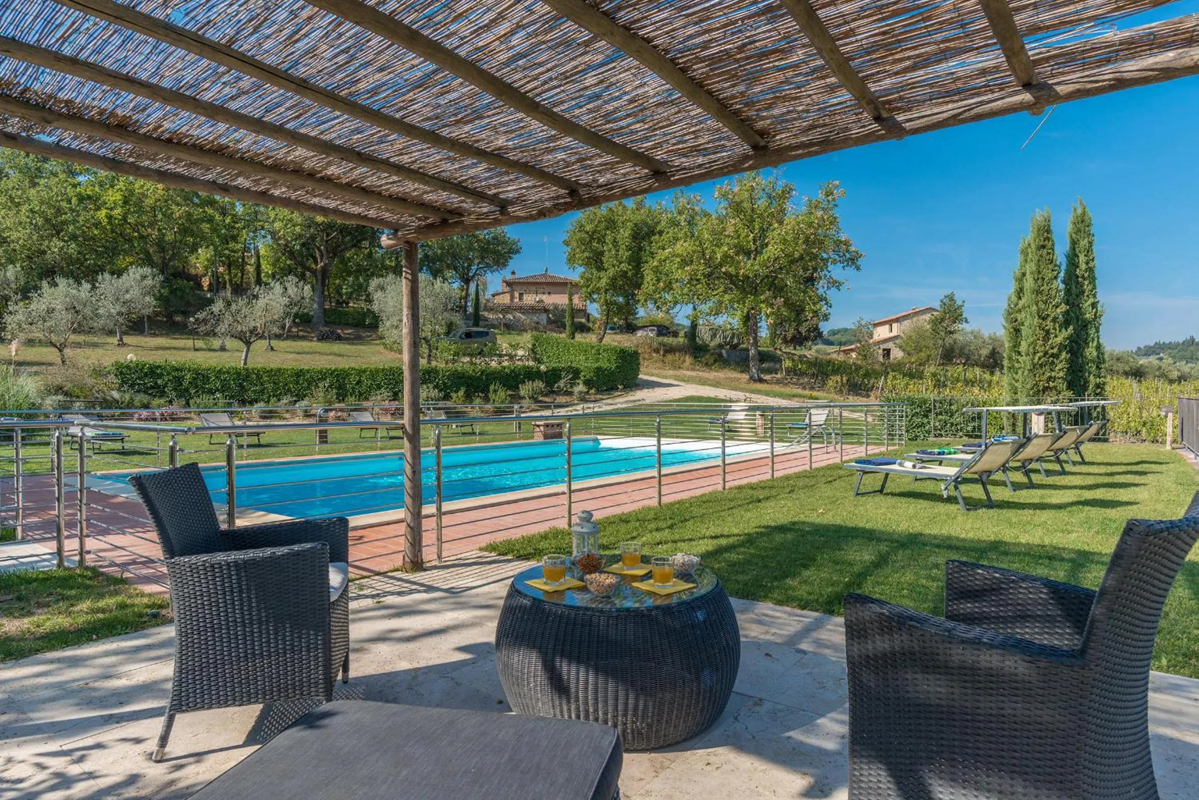 The Grapevine by MANVI