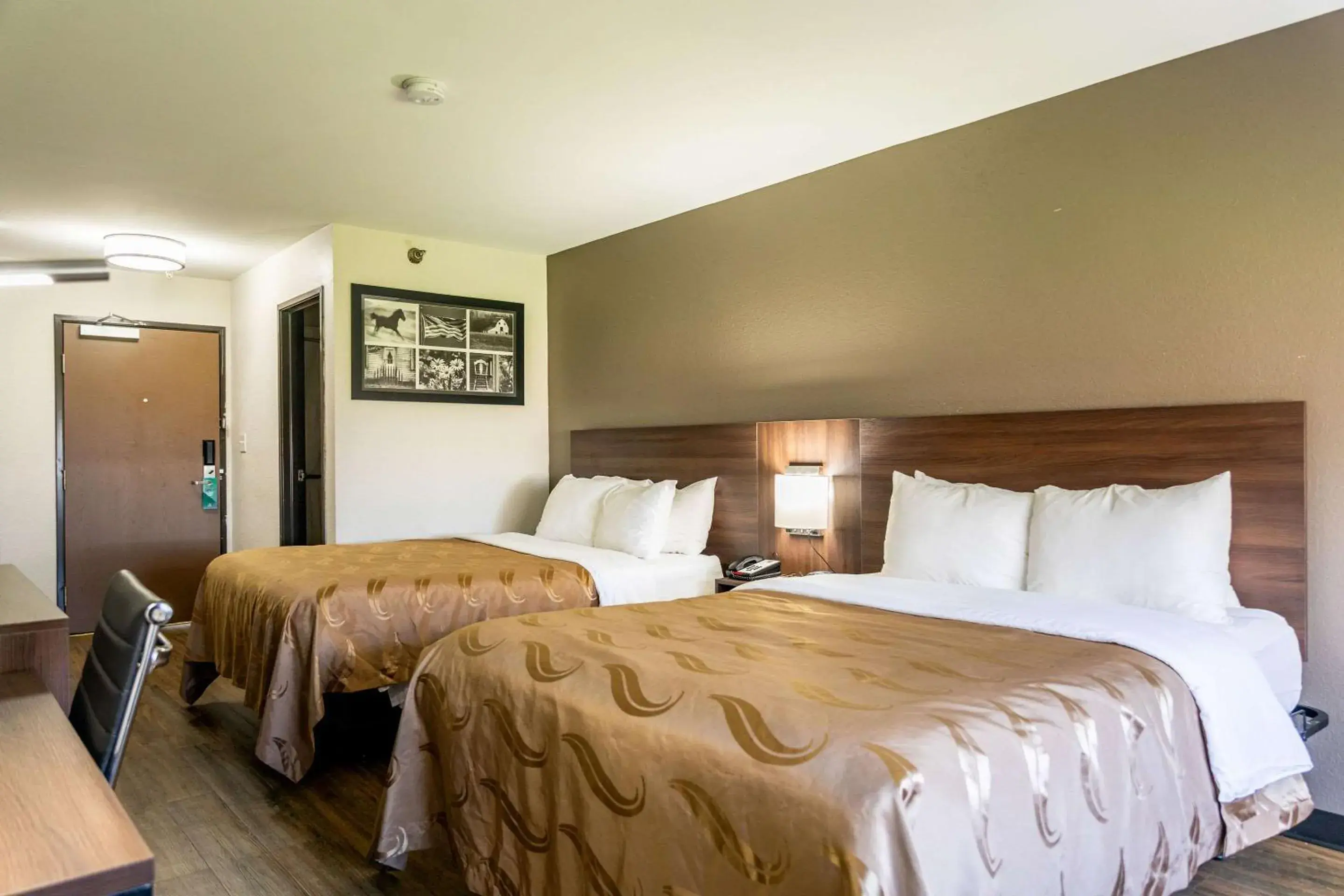 Queen Room with Two Queen Beds - Non-Smoking in Quality Inn Carrollton Queen Room with Two Queen Beds - Non-Smoking in Quality Inn Carrollton