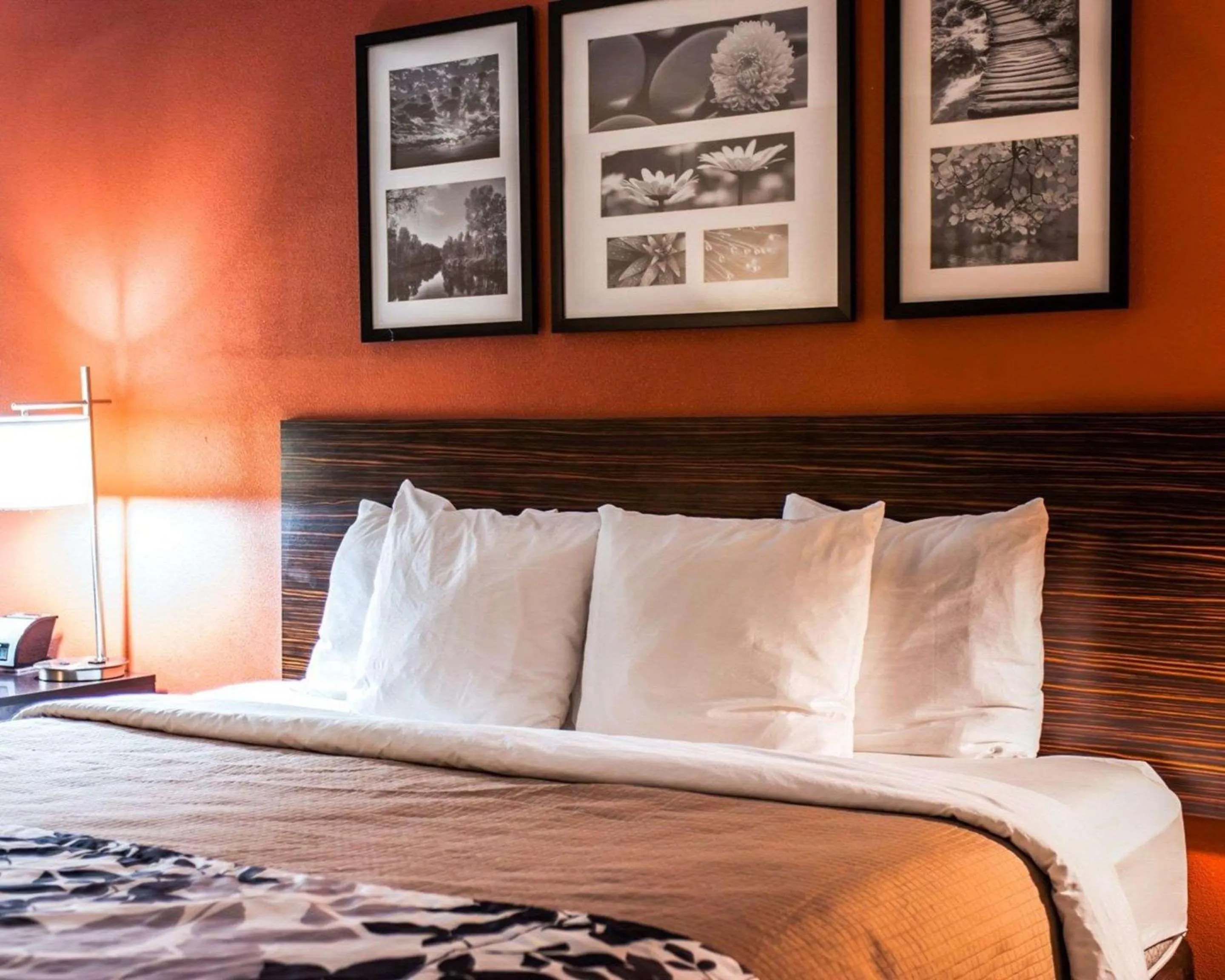 Photo of the whole room, Bed in Sleep Inn & Suites Fort Campbell