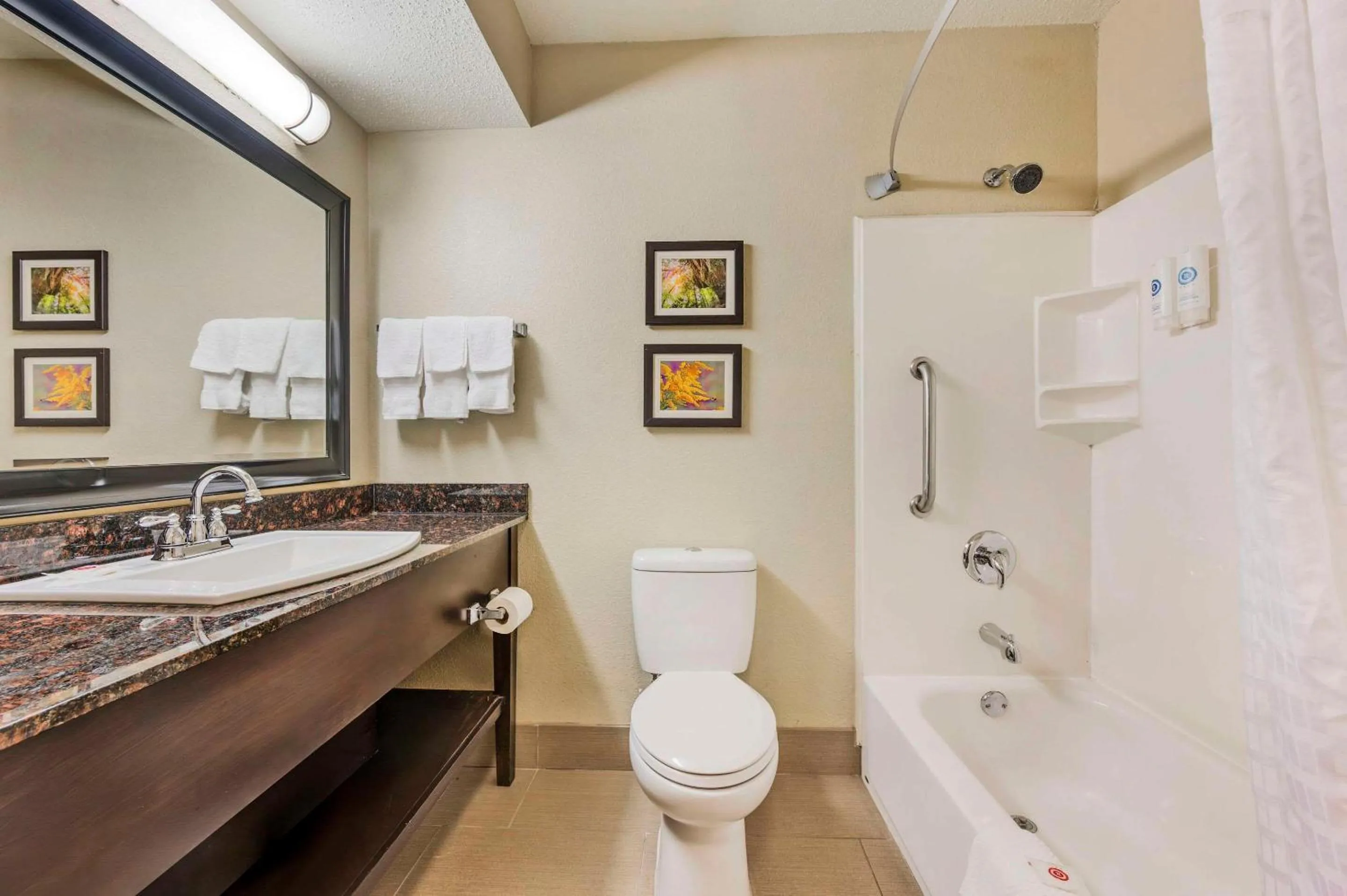 Bedroom in Comfort Inn Airport Turfway Road