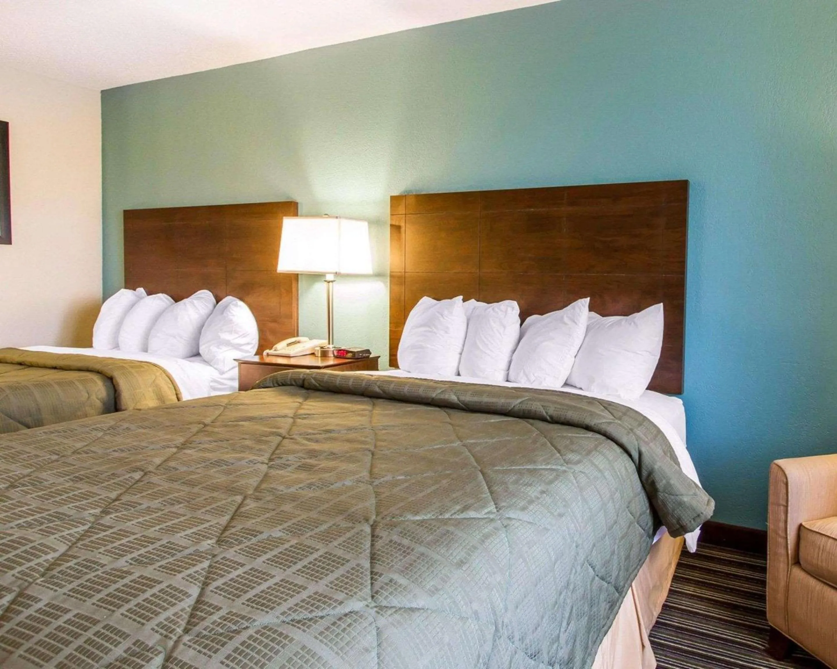 Photo of the whole room, Bed in Quality Inn Murray University Area