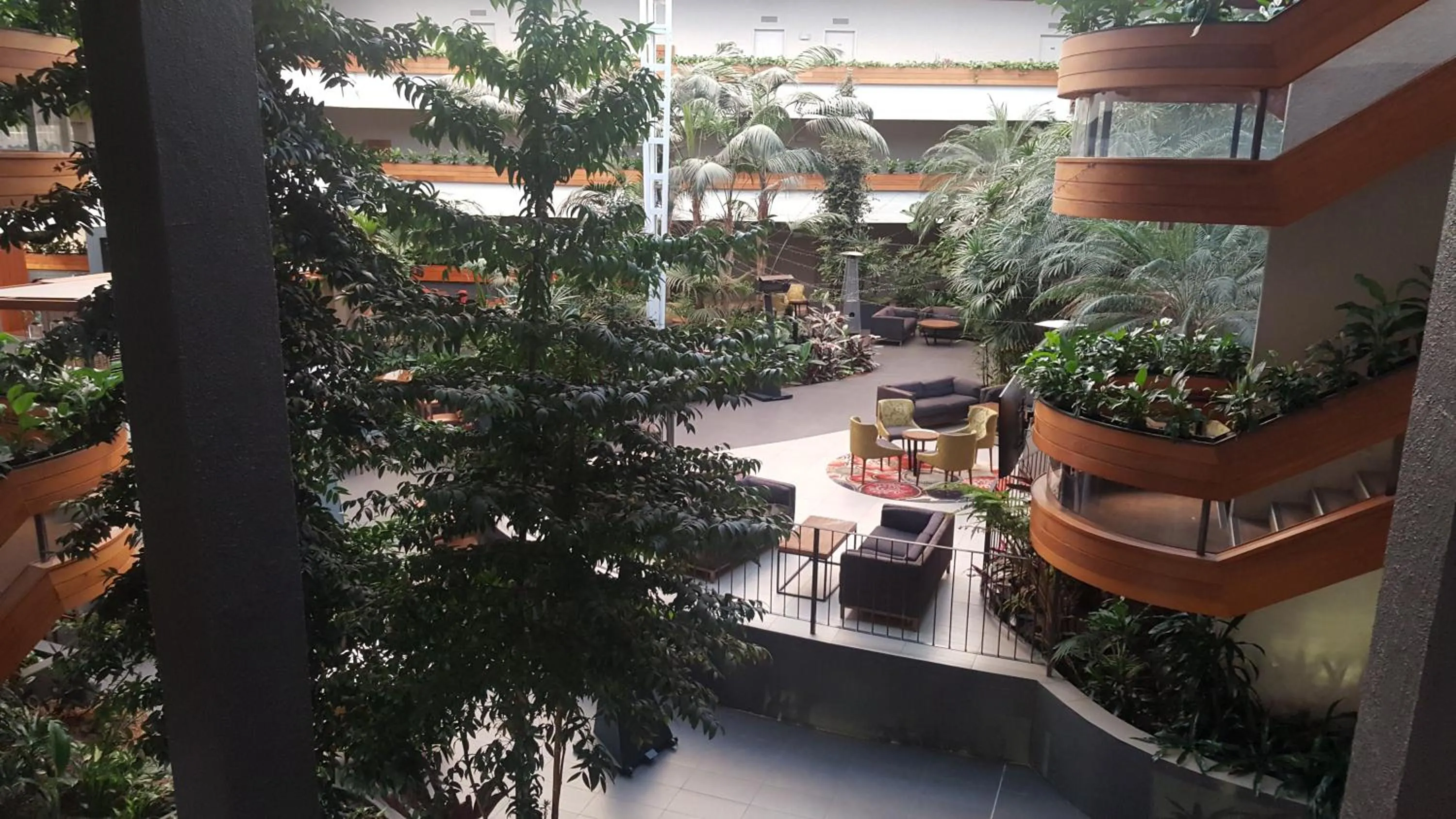 Garden in Pavilion On Northbourne