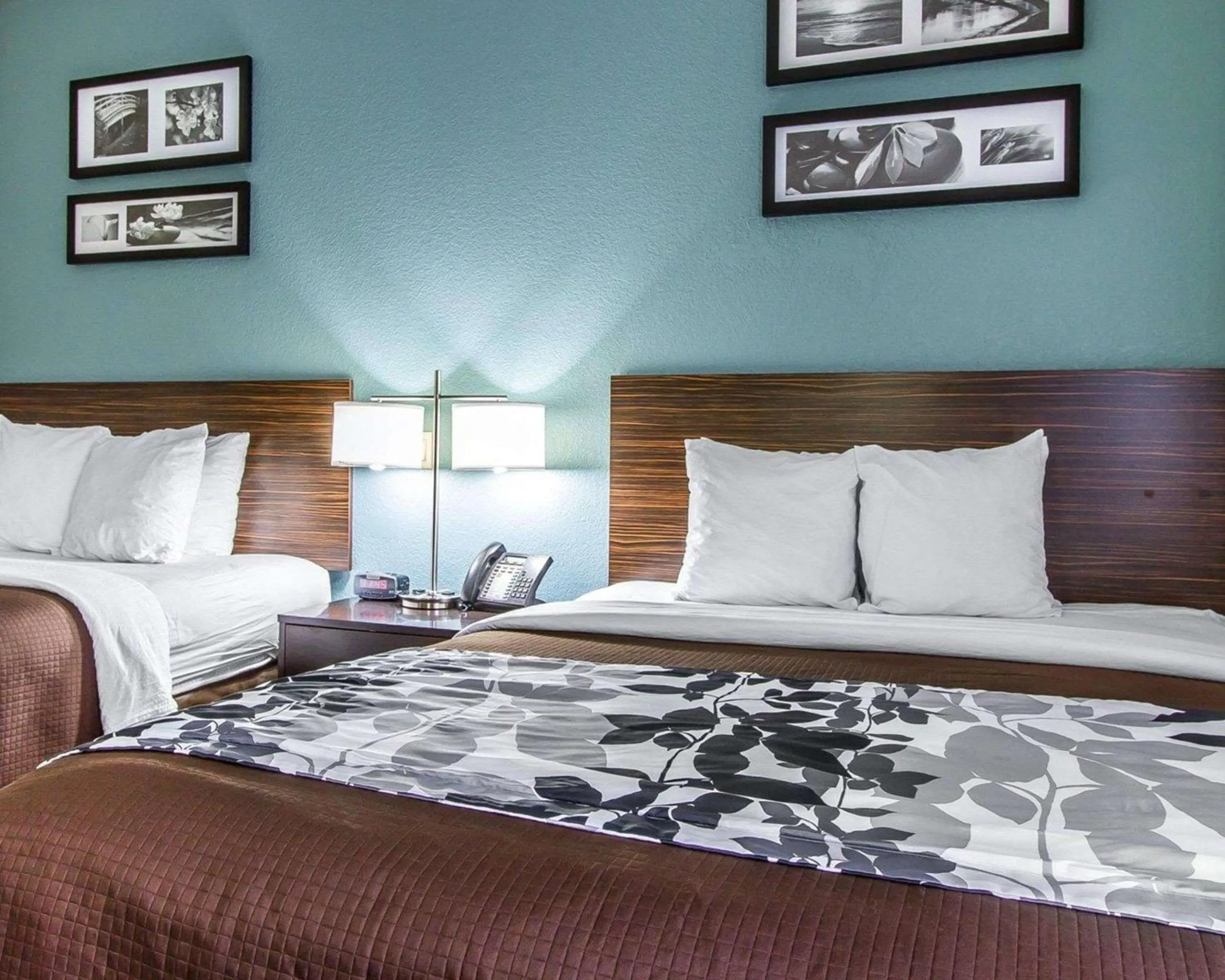 Photo of the whole room, Bed in Sleep Inn Scott-Lafayette West