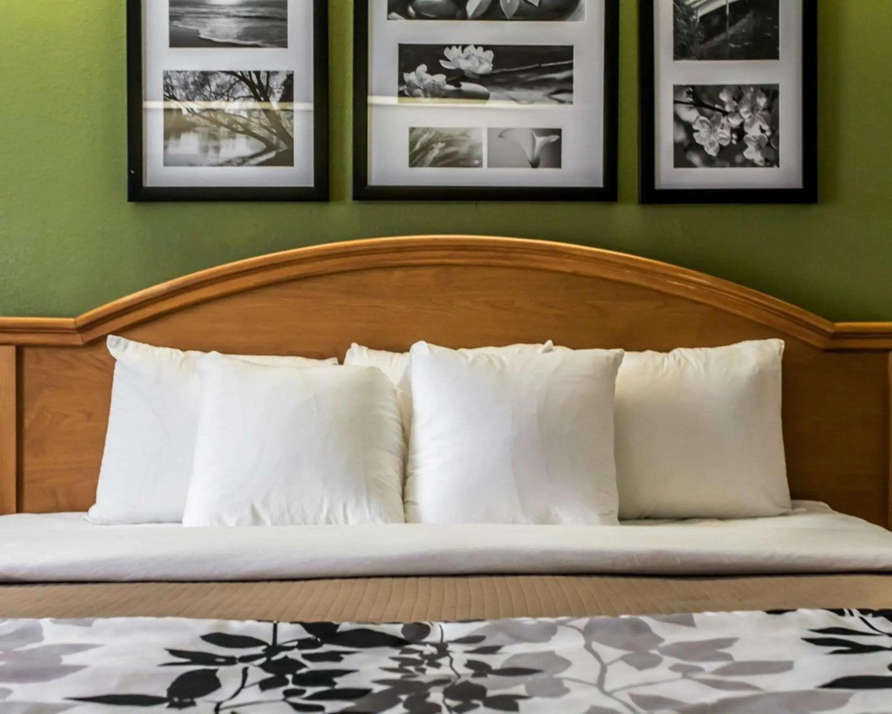 King Room - Non-Smoking in Sleep Inn Slidell King Room - Non-Smoking in Sleep Inn Slidell