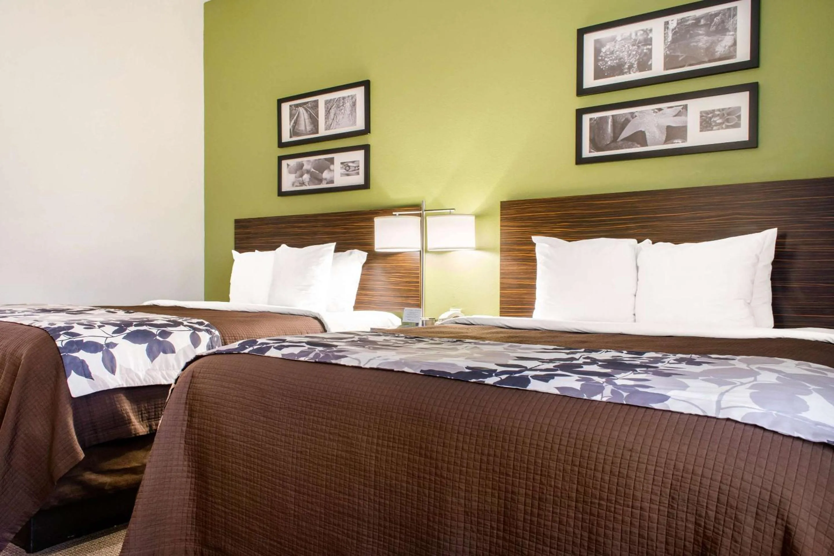 Bedroom, Bed in Sleep Inn & Suites Metairie - New Orleans West