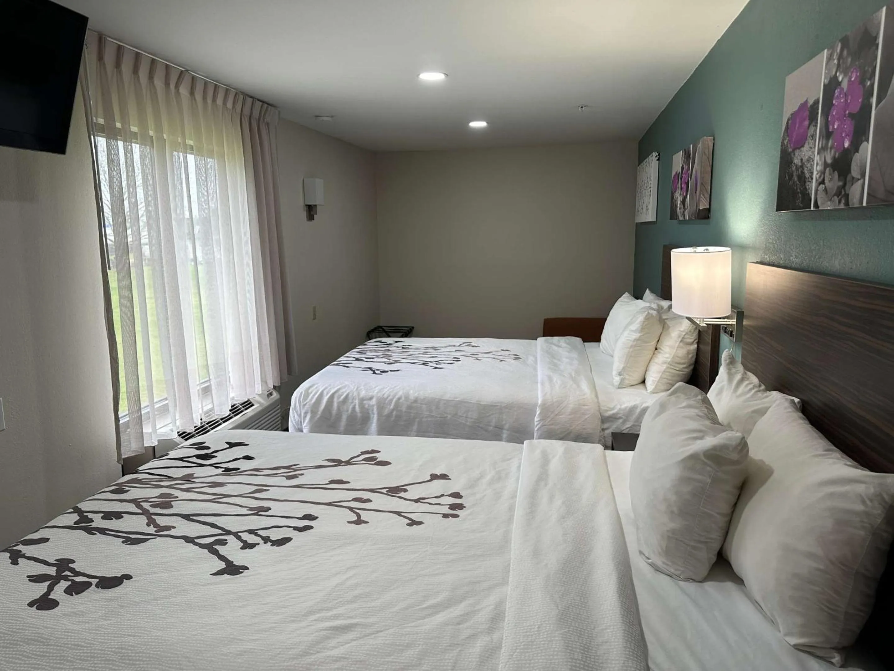 Bedroom, Bed in Sleep Inn & Suites Pineville - Alexandria