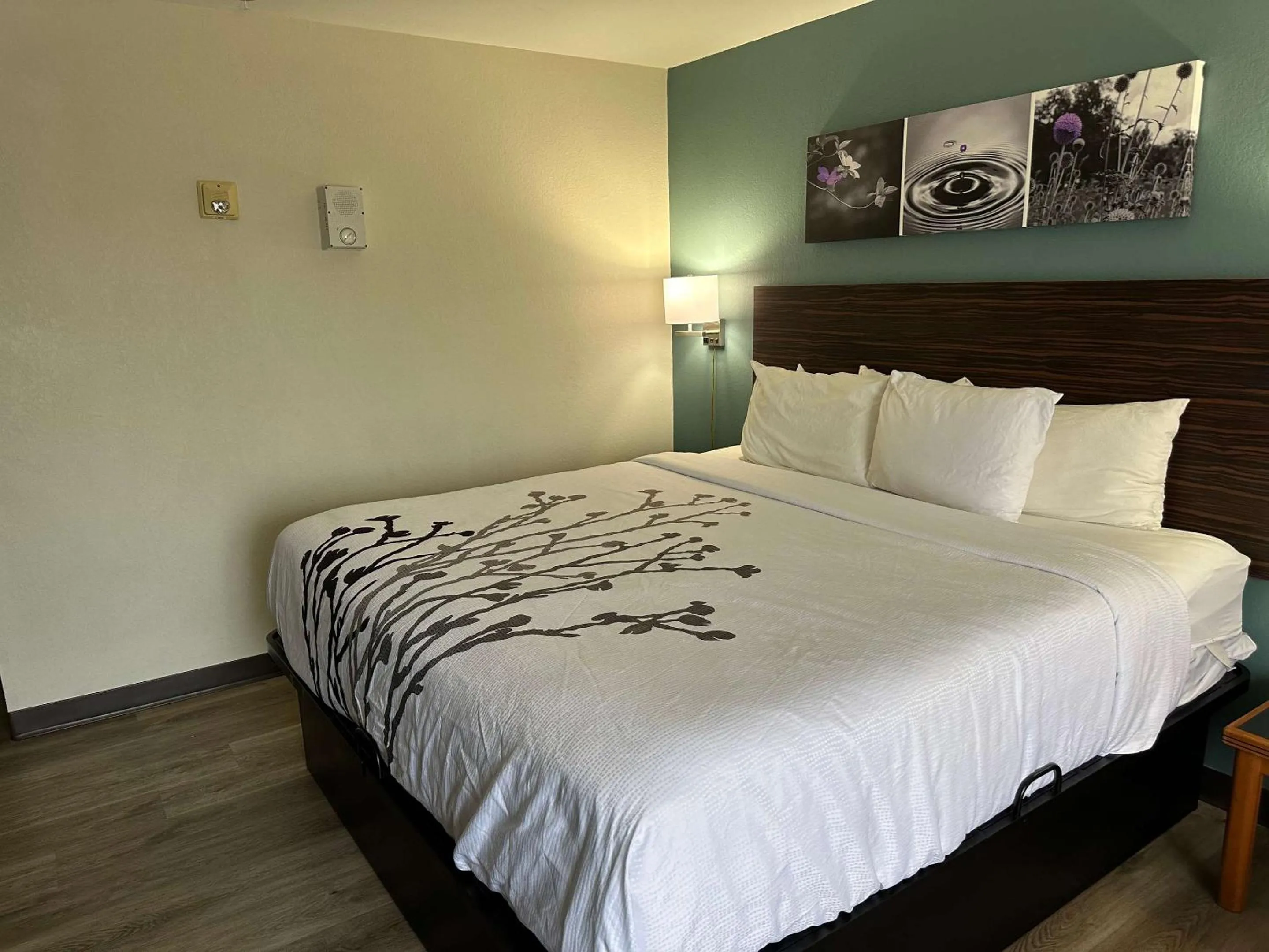 Bedroom, Bed in Sleep Inn & Suites Pineville - Alexandria